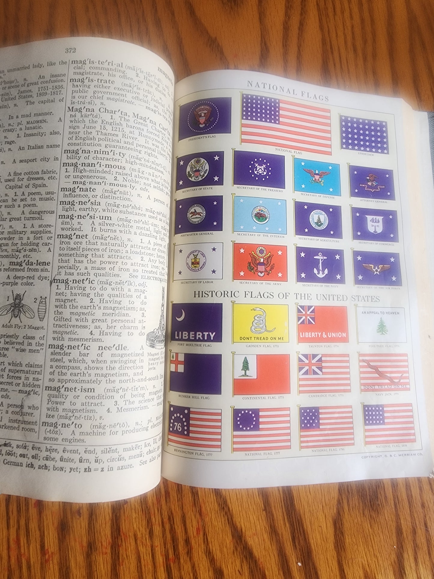 Vintage 1941 Webster's Elementary Dictionary for Boys and Girls - Illustrated