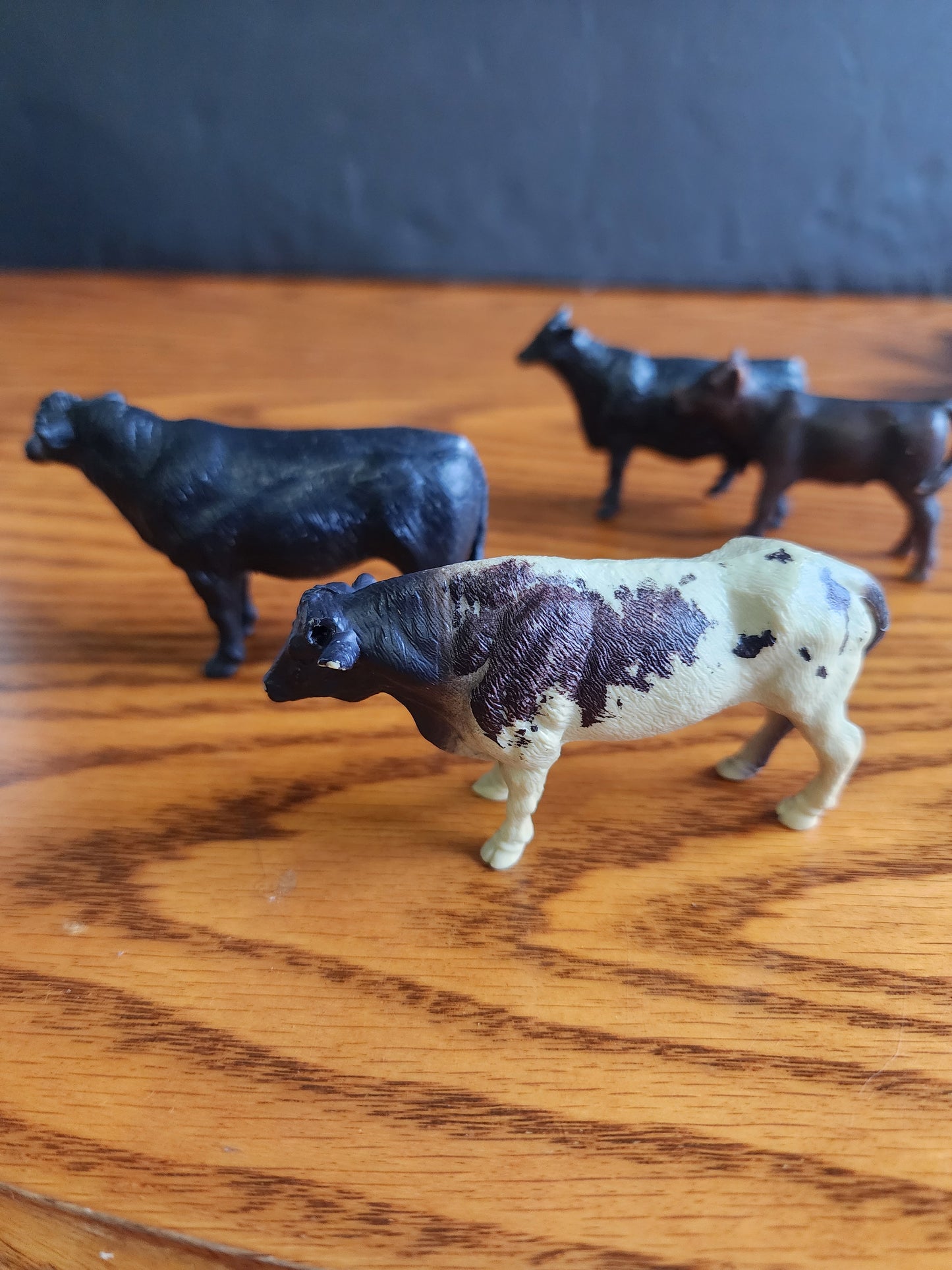 Lot of 4 animals 2 Bulls, cow & calf the biggest bull