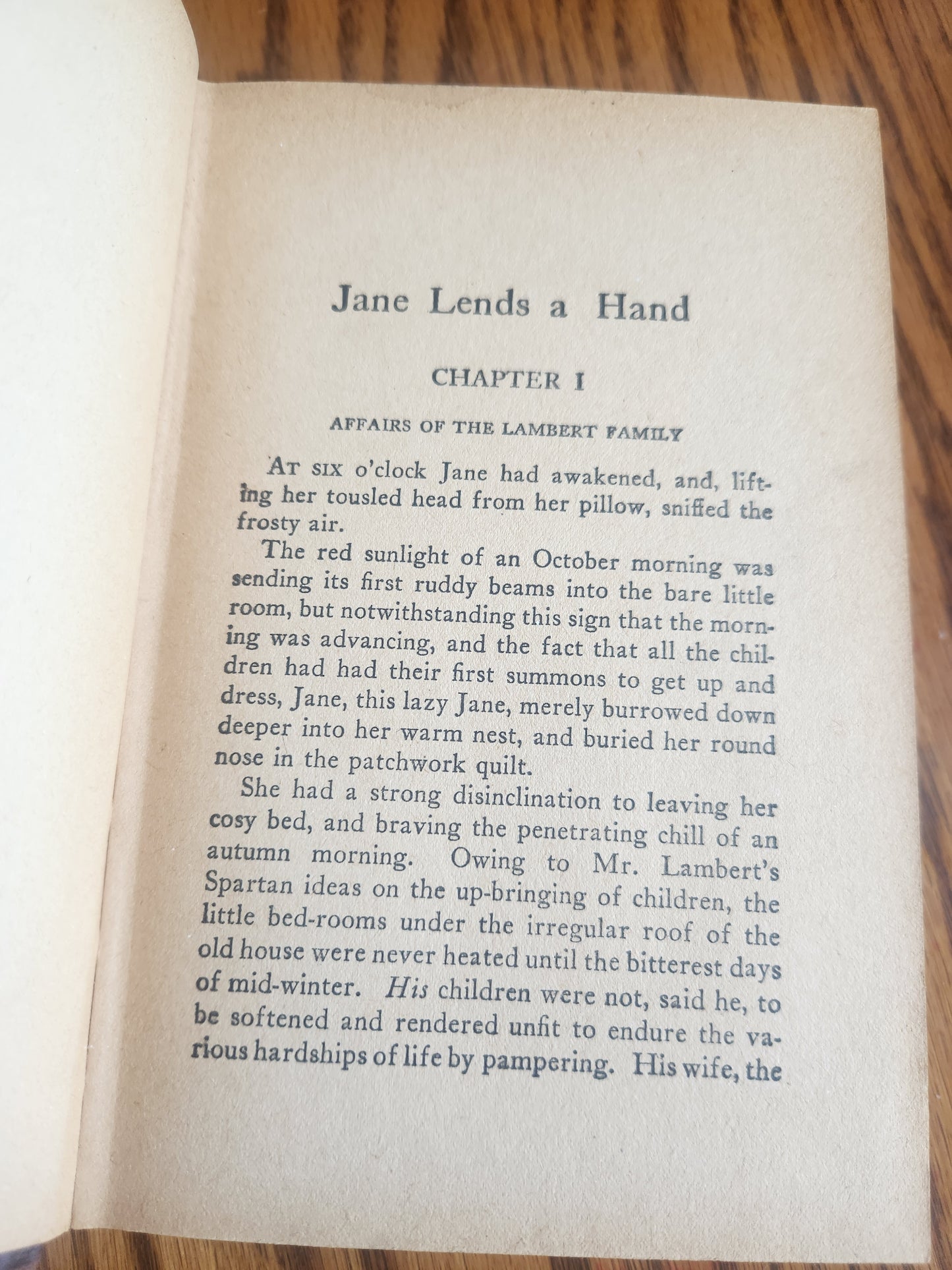 Jane Lends A Hand by Shirley Watkins 1923 Goldsmith Publishing Co Vintage Book