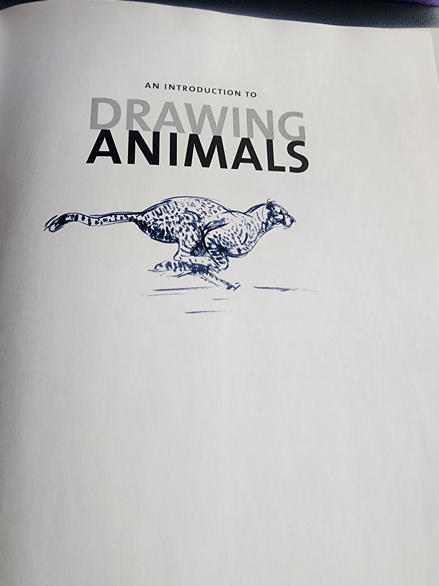 An Introduction to Drawing Animals: Anatomy, Movement, Perspective, Character, Composition