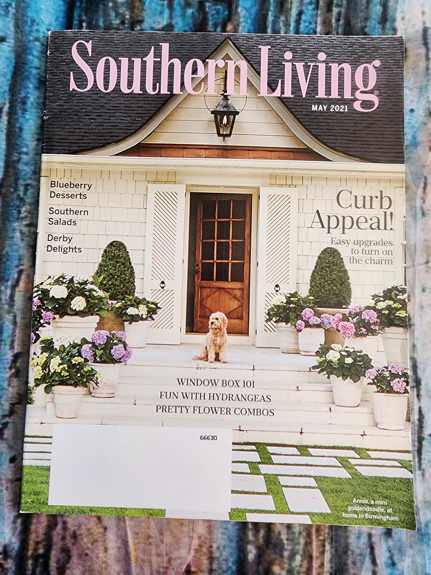 SOUTHERN LIVING MAGAZINE - MAY 2021 - CURB APPEAL! Blueberry deserts, Southern Salads and Derby delights.  Book in good condition