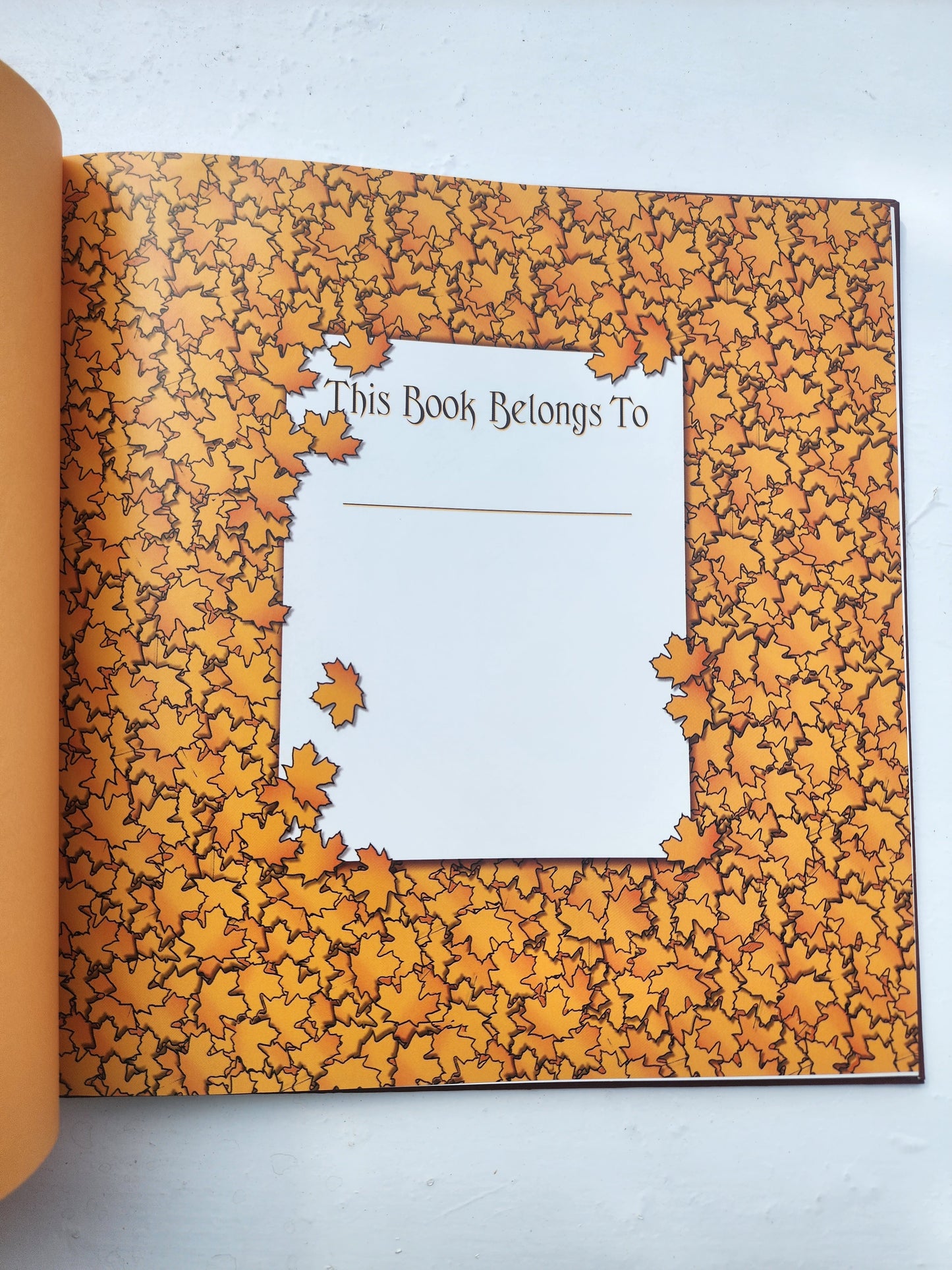 Owen's Choice : The Night of the Halloween Vandals HB Book