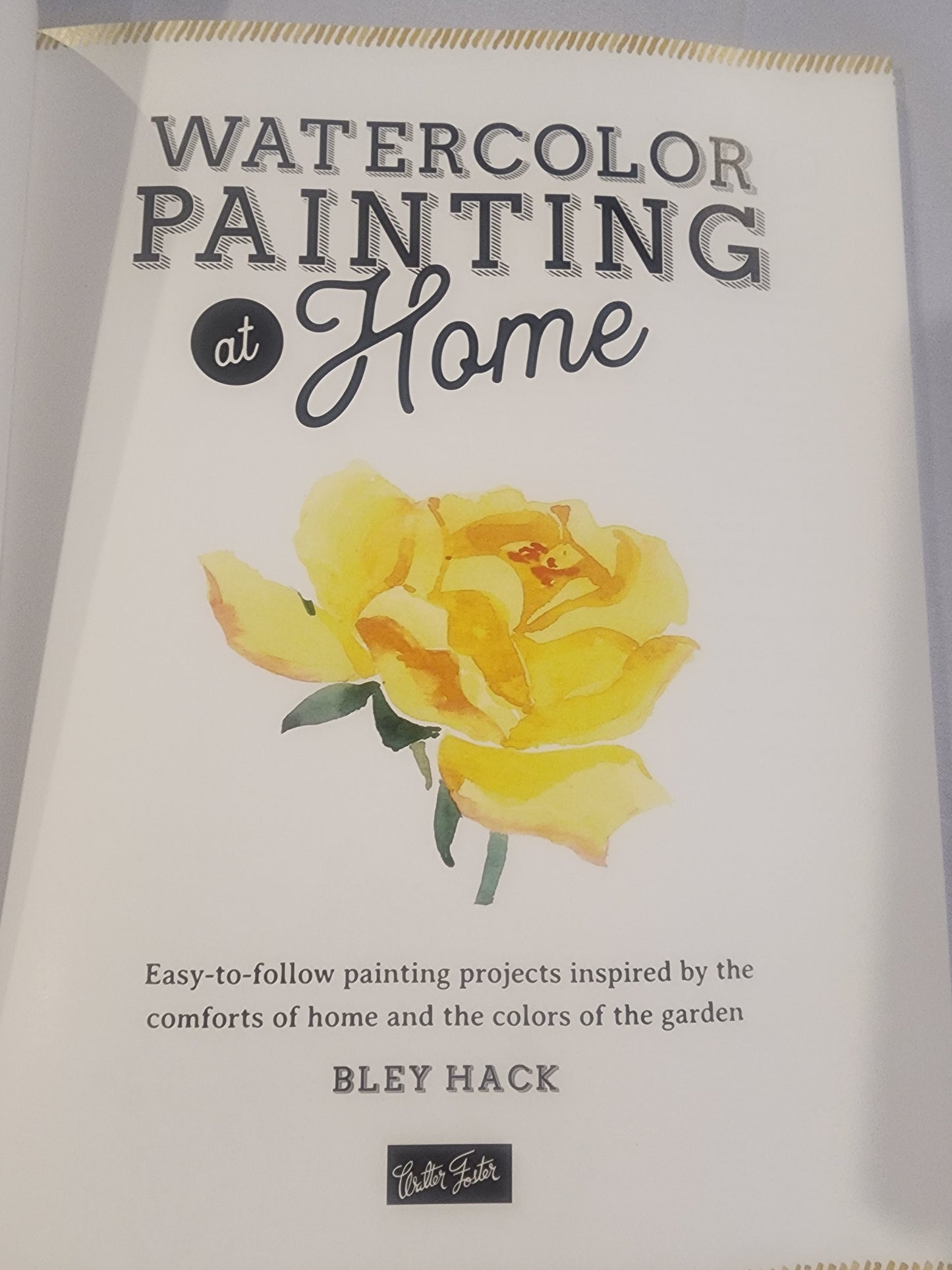 Watercolor Painting at Home: Easy-to-follow Painting Projects Inspired by the Comforts of Home and the Colors of the Garden.  Transform your art into Heirloom gifts.
Book by Bley Hack, like new