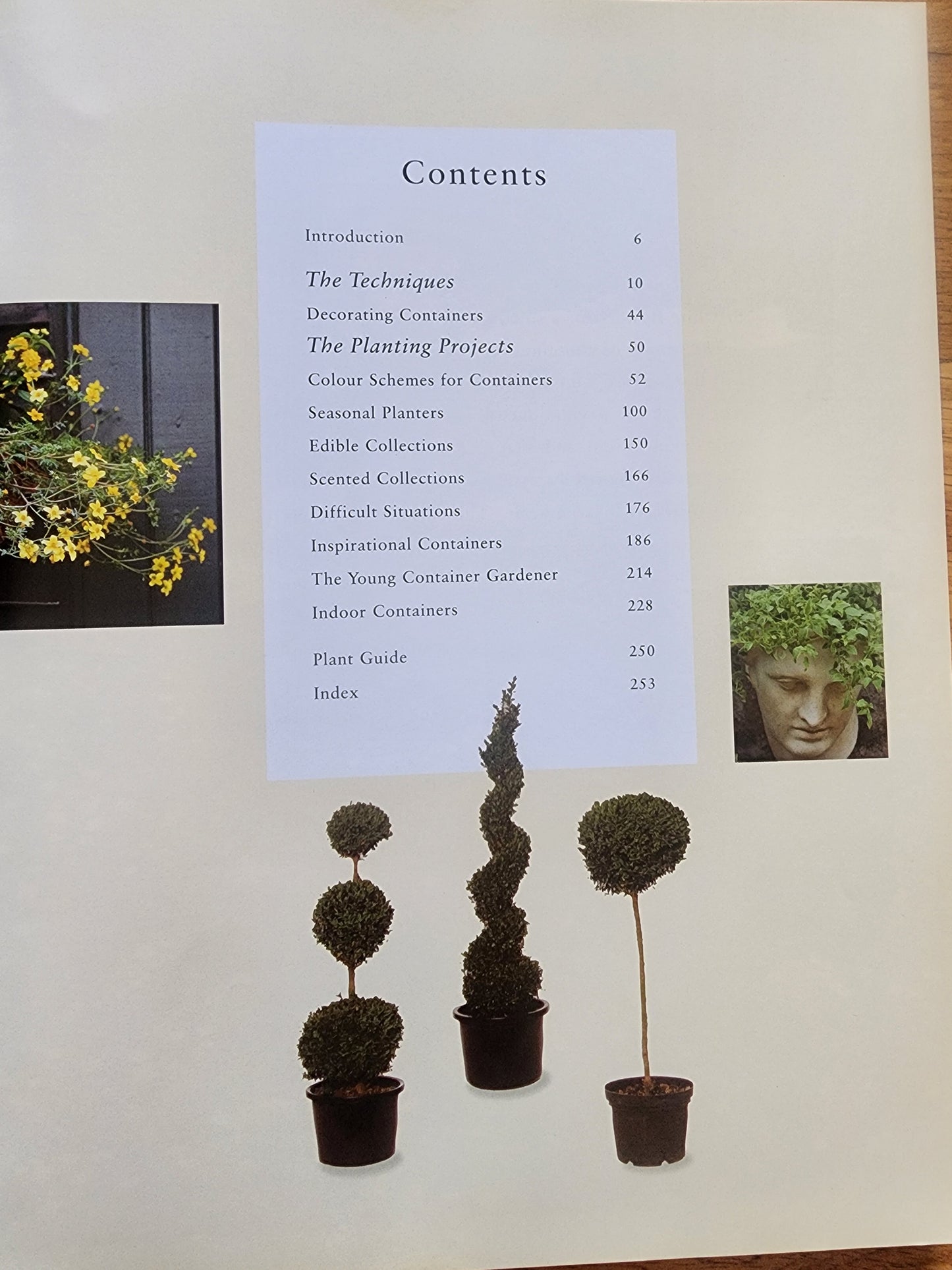 Container Gardening by Stephanie Donaldson 150 designs for pots, planters, boxes