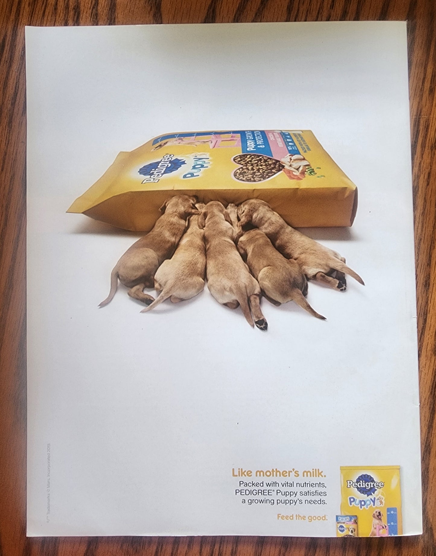 SOUTHERN LIVING - June, 2020 - The Joys of Summer - Secrets to a Pretty Porch