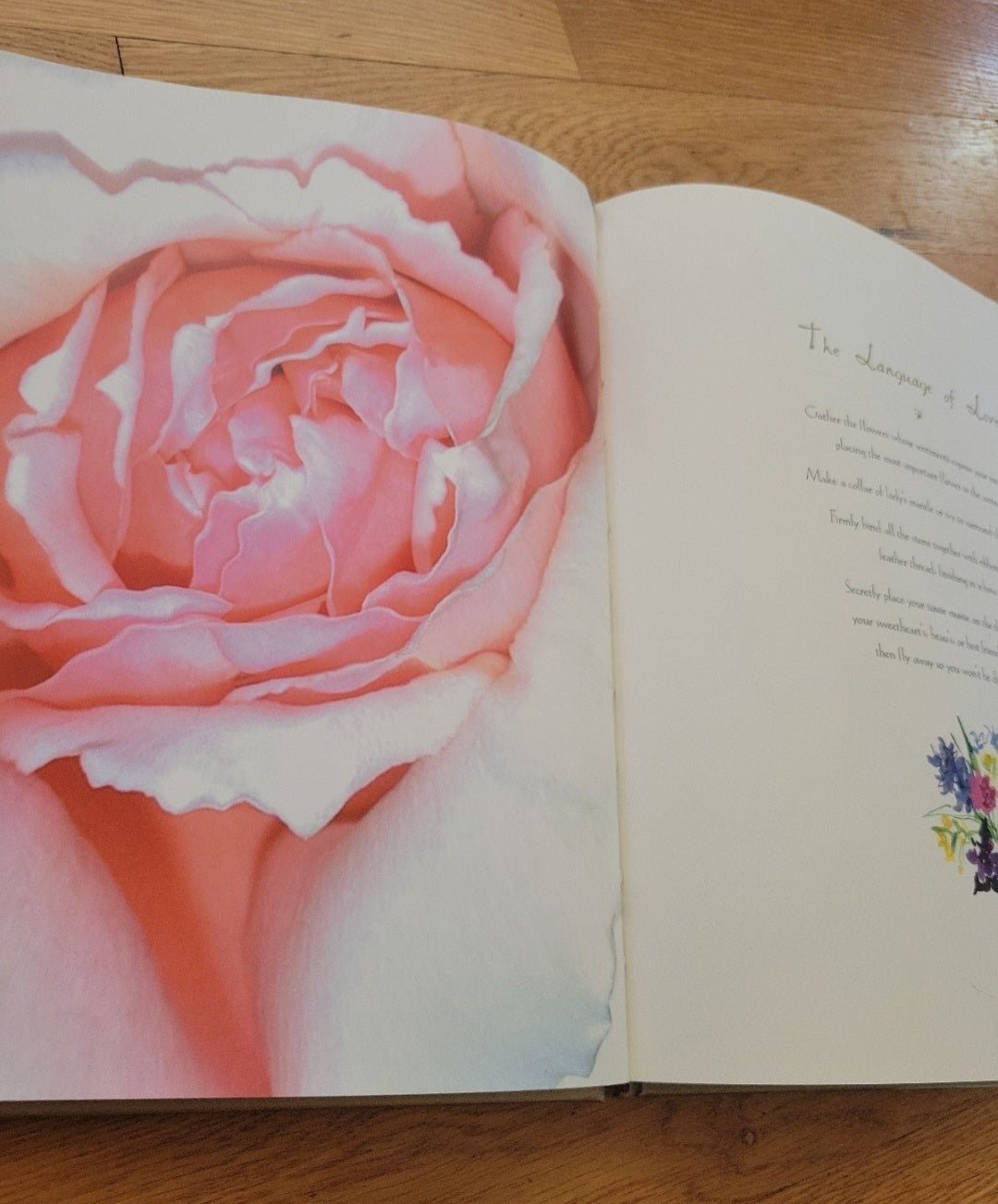 Fairie-ality: The Fashion Collection from the House of Ellwand