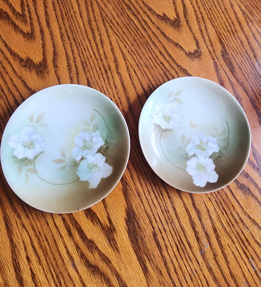 Vintage R.S. Germany 6.5" Decorative Plates - Set of 2 - White Dogwood Floral