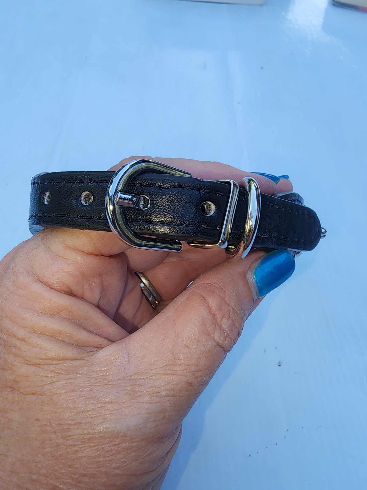 Black Beauty Triple Spike Pet Collar & Leash for Dog 16" long