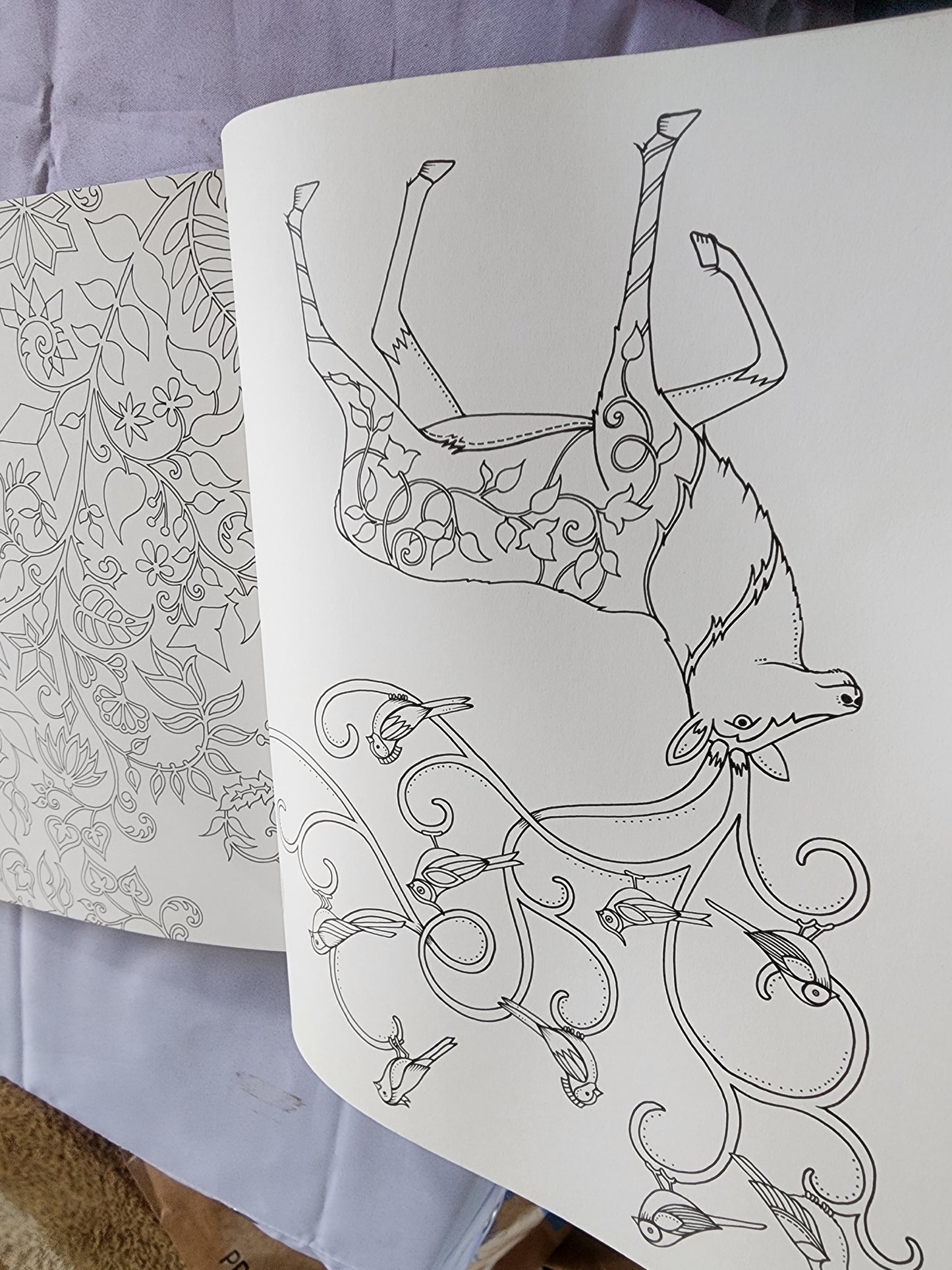 The Enchanted Forest an Inky Quest & Coloring
Book by Johanna Basford