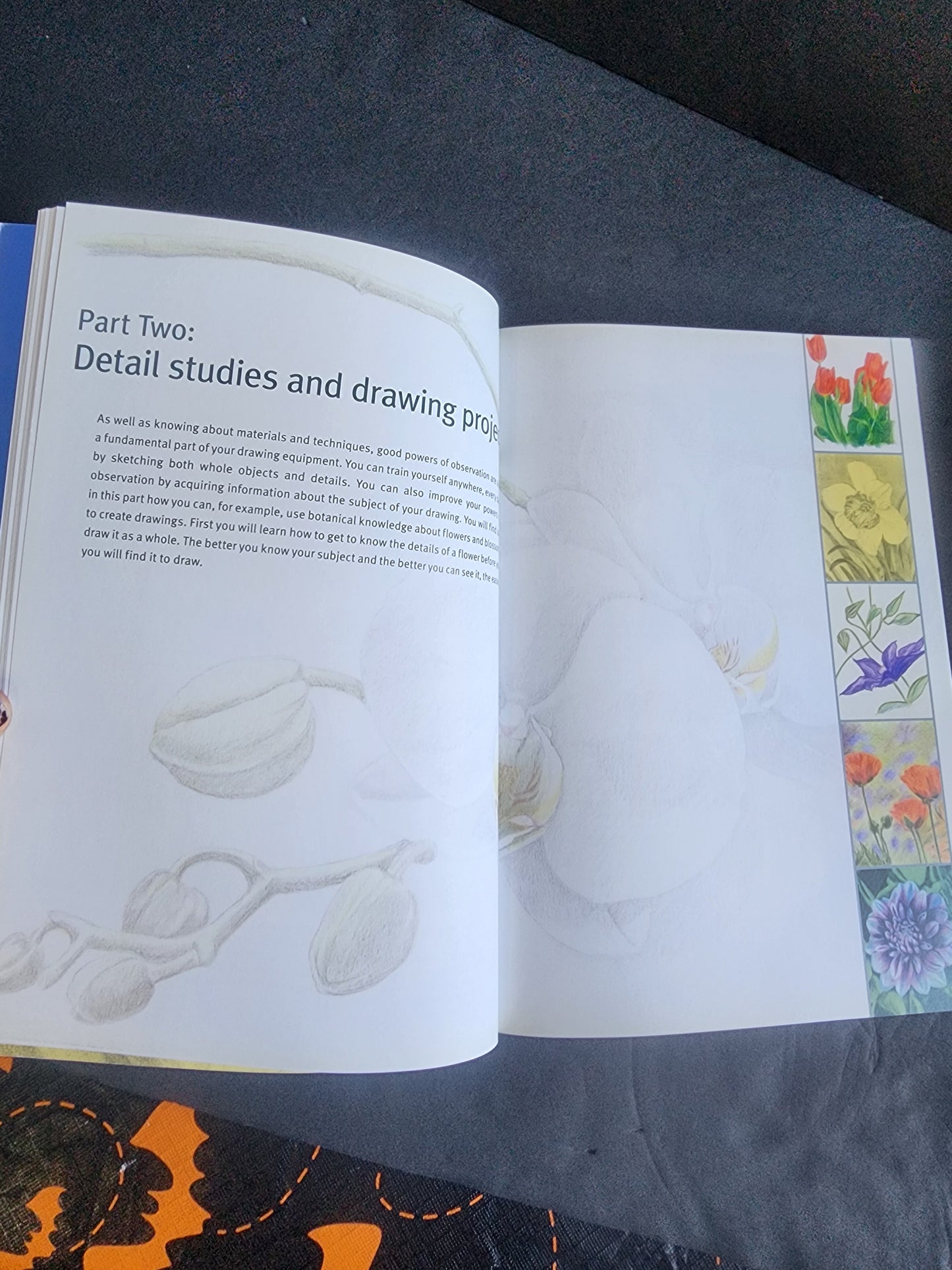 Draw Flowers using pencils, pastels, crayons and charcoal paperback Annie Pieper softcover book