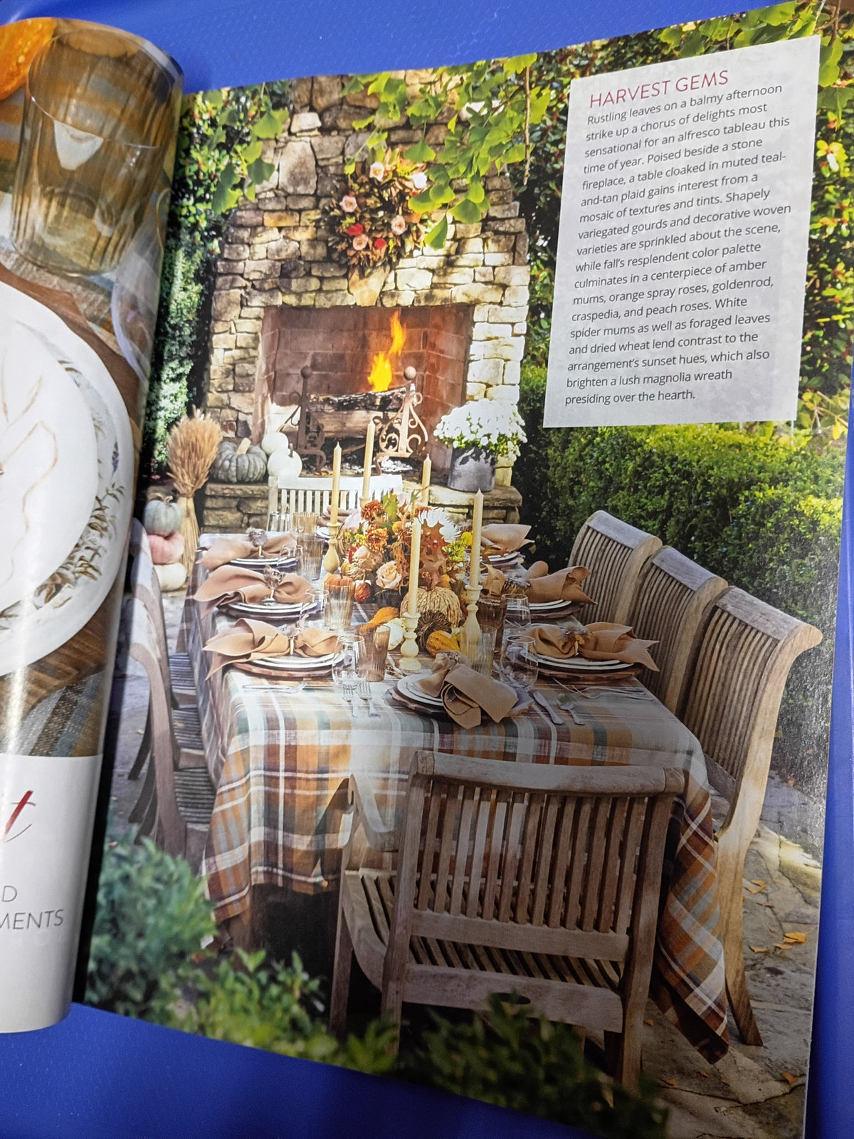 Southern Lady Magazine Enjoy Autumn Outdoors Fall Garden Party