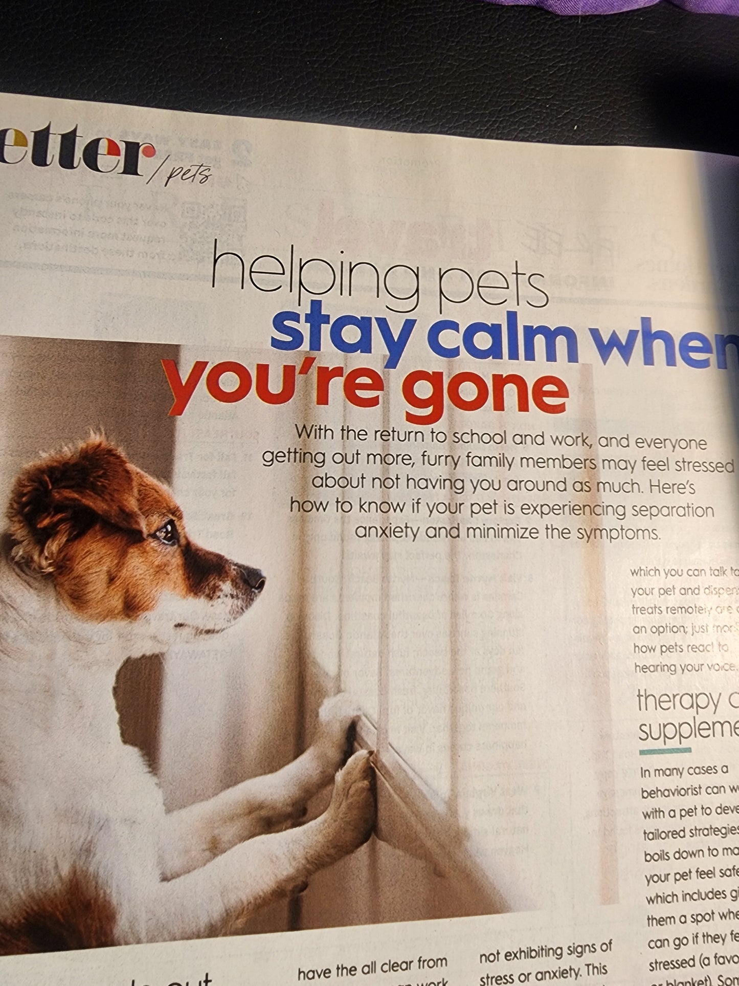 BETTER HOMES & GARDENS - September 2021- The Trend Issue - Creature Comforts