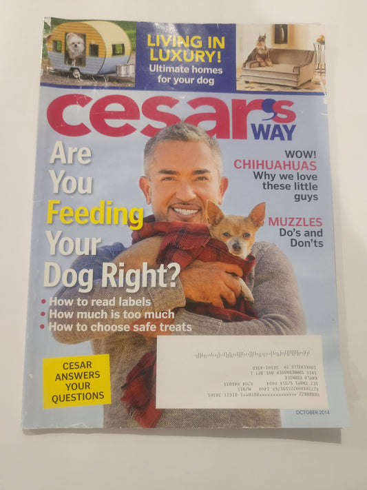 Cesar's Way Oct. 2014  featuring dog behaviorist Cesar Millan with a Chihuahua