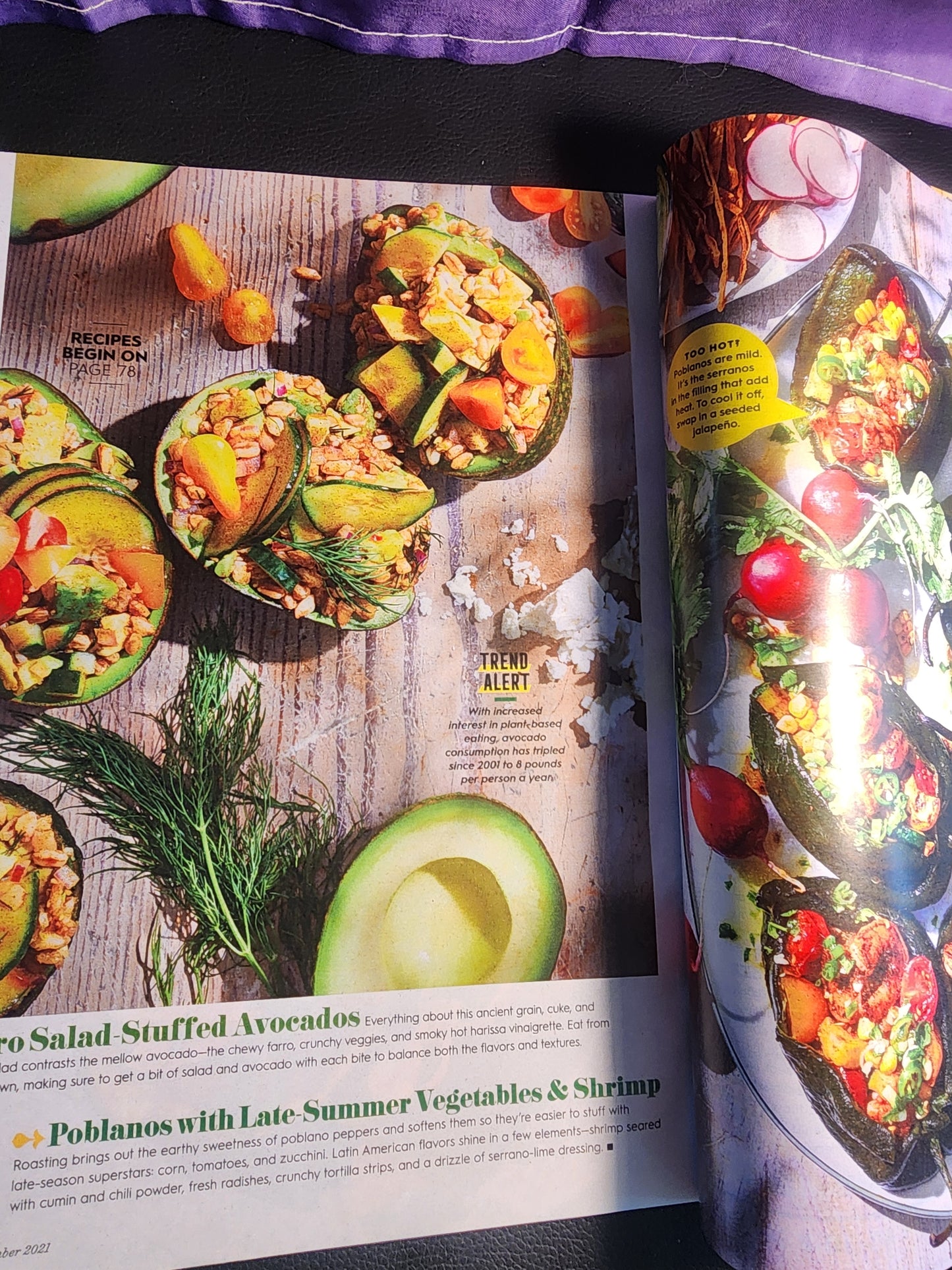 BETTER HOMES & GARDENS - September 2021- The Trend Issue - Creature Comforts