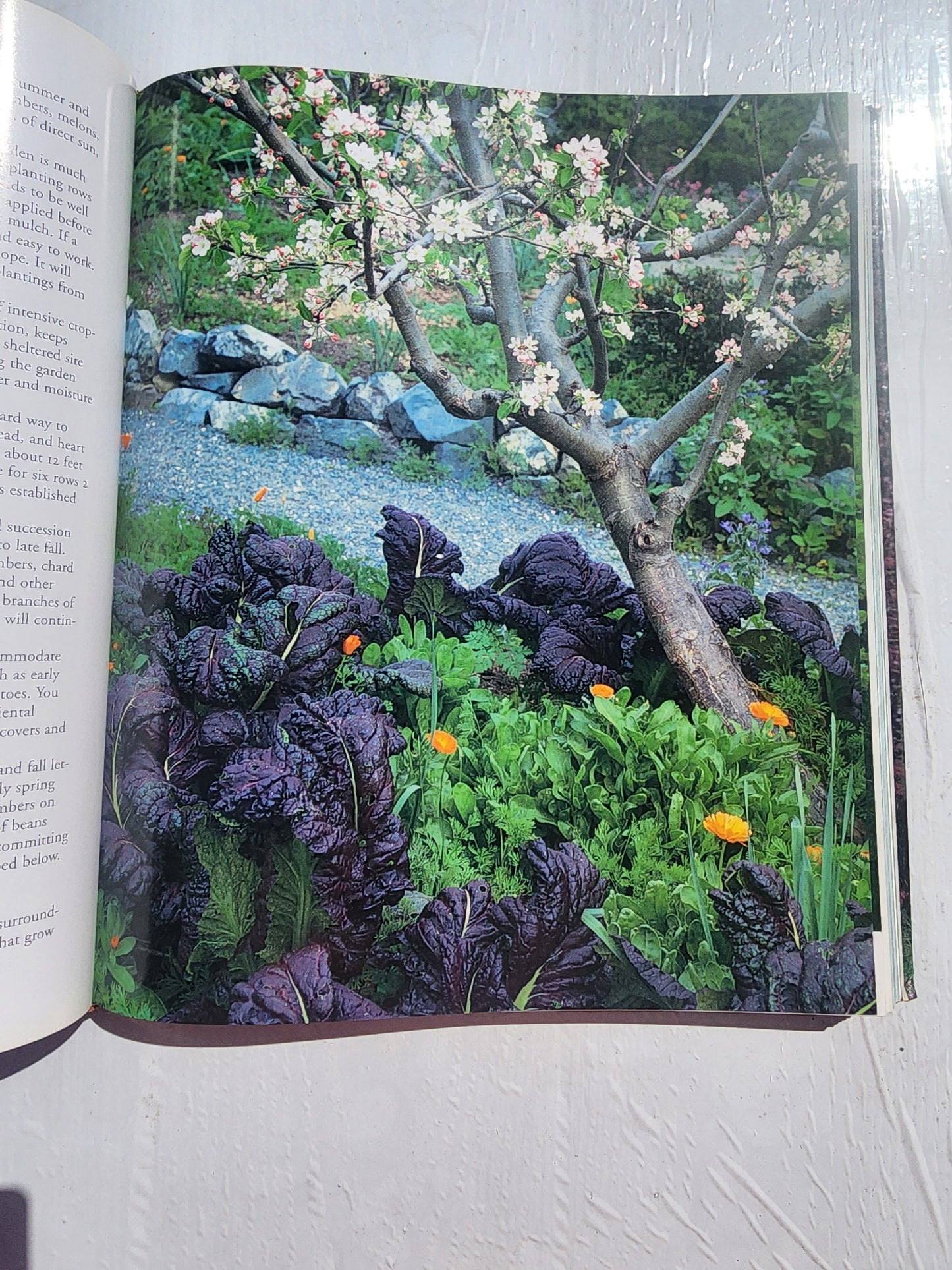 Glorious Gardens: Designing, Creating, Nurturing HB
Book by Jacqueline Hériteau