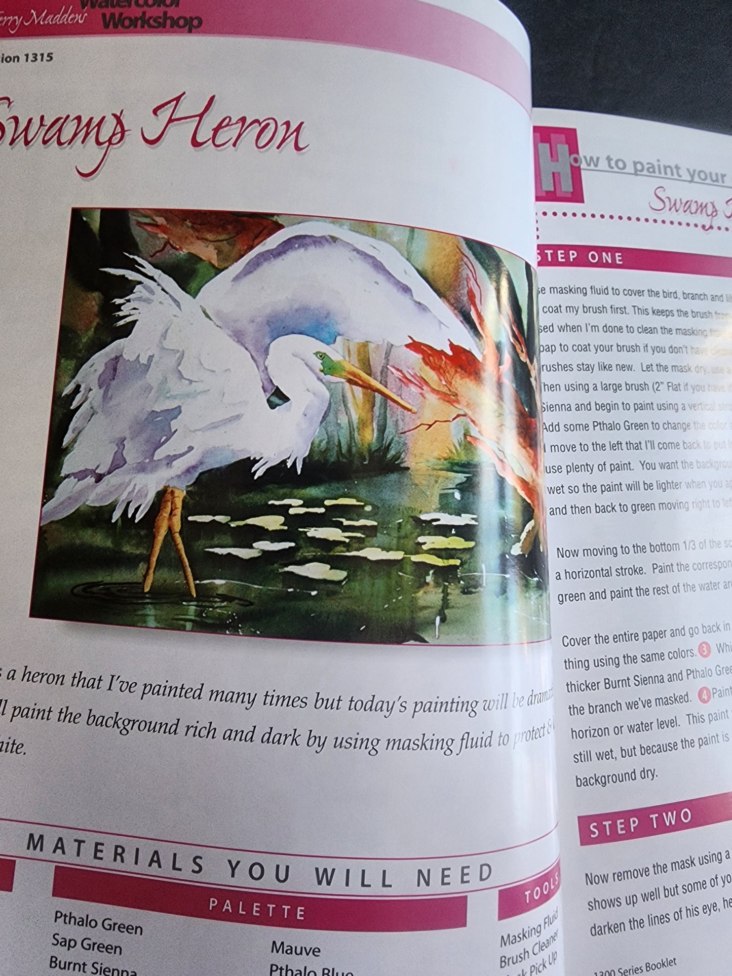 Terry Madden s Wonderful World of Watercolor - 1200 Series - Volume 2, pb book