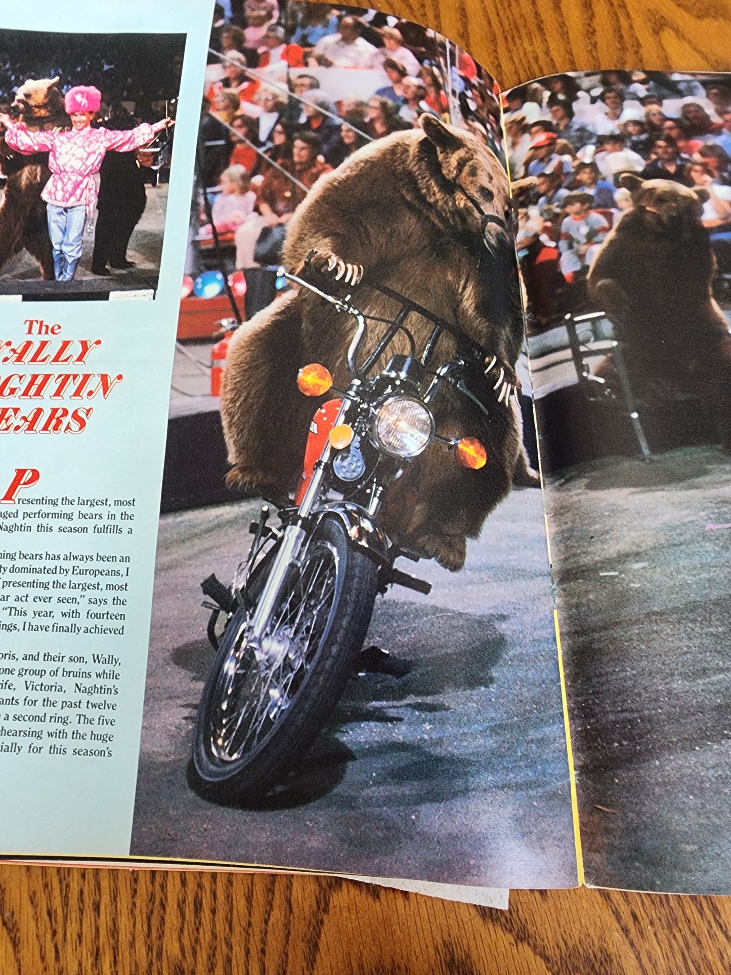 Vtg 1981 Ringling Bros and Barnum & Bailey Circus 11th Edition Souvenir bk progr