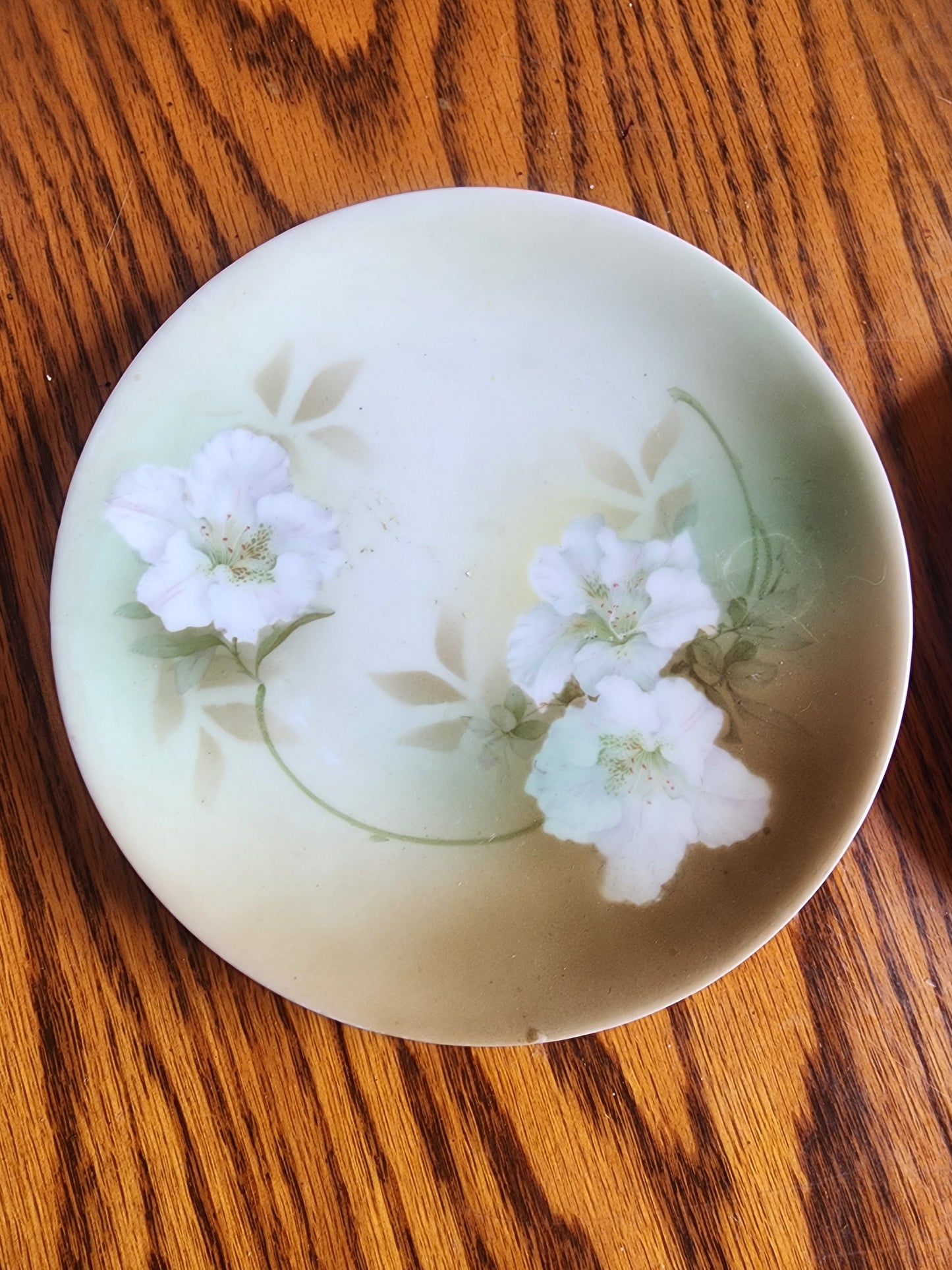 Vintage R.S. Germany 6.5" Decorative Plates - Set of 2 - White Dogwood Floral