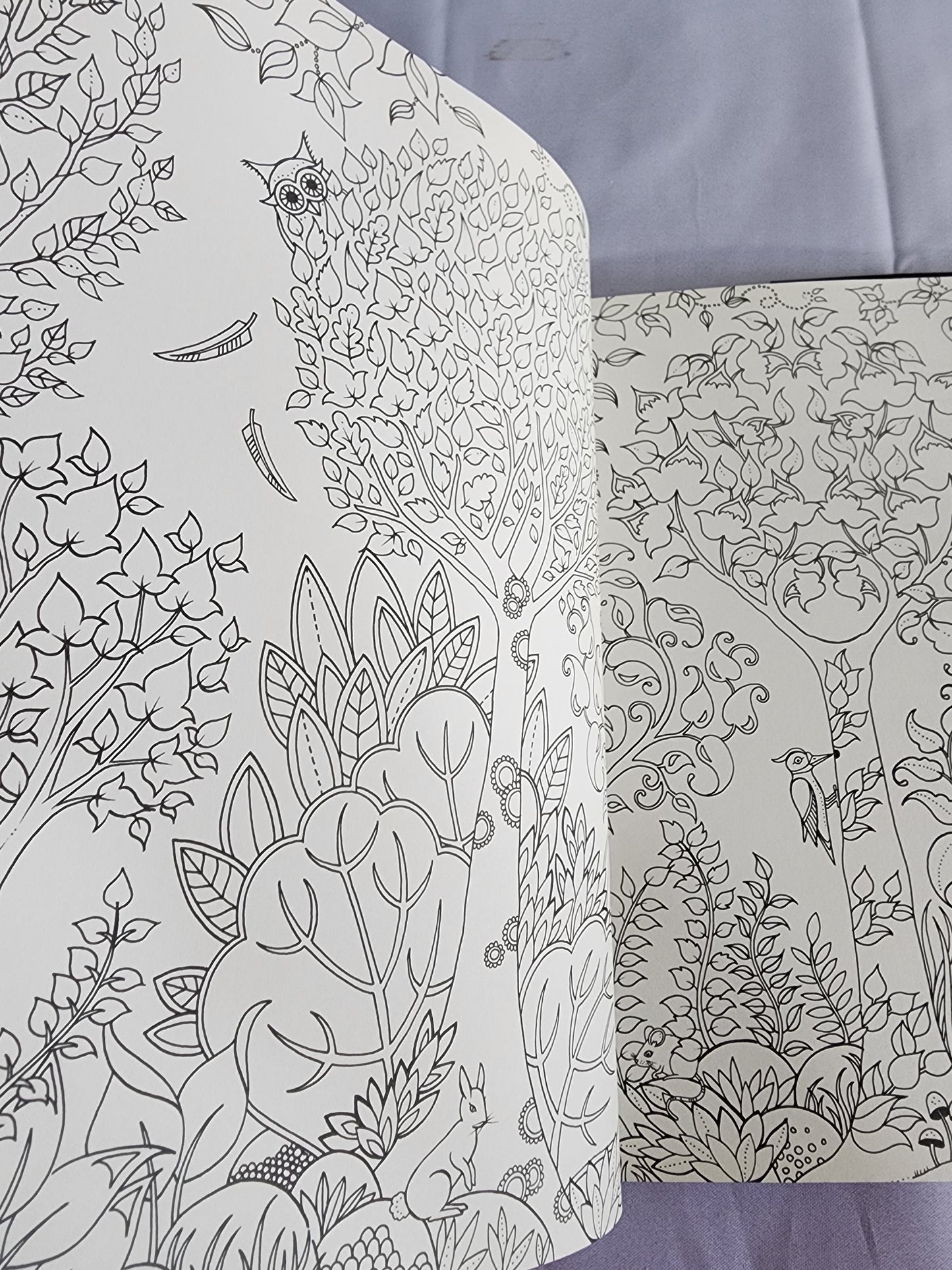 The Enchanted Forest an Inky Quest & Coloring
Book by Johanna Basford