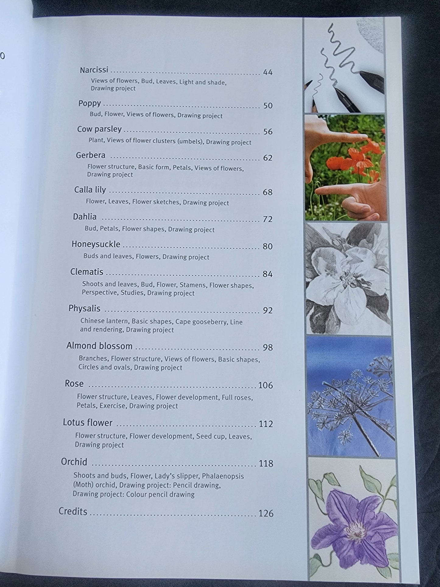 Draw Flowers using pencils, pastels, crayons and charcoal paperback Annie Pieper softcover book