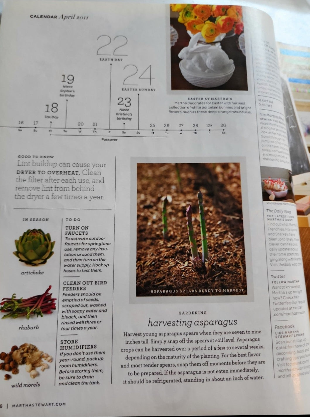 Martha Stewart Living Magazine - April 2011 (Easter & Spring Crafts)