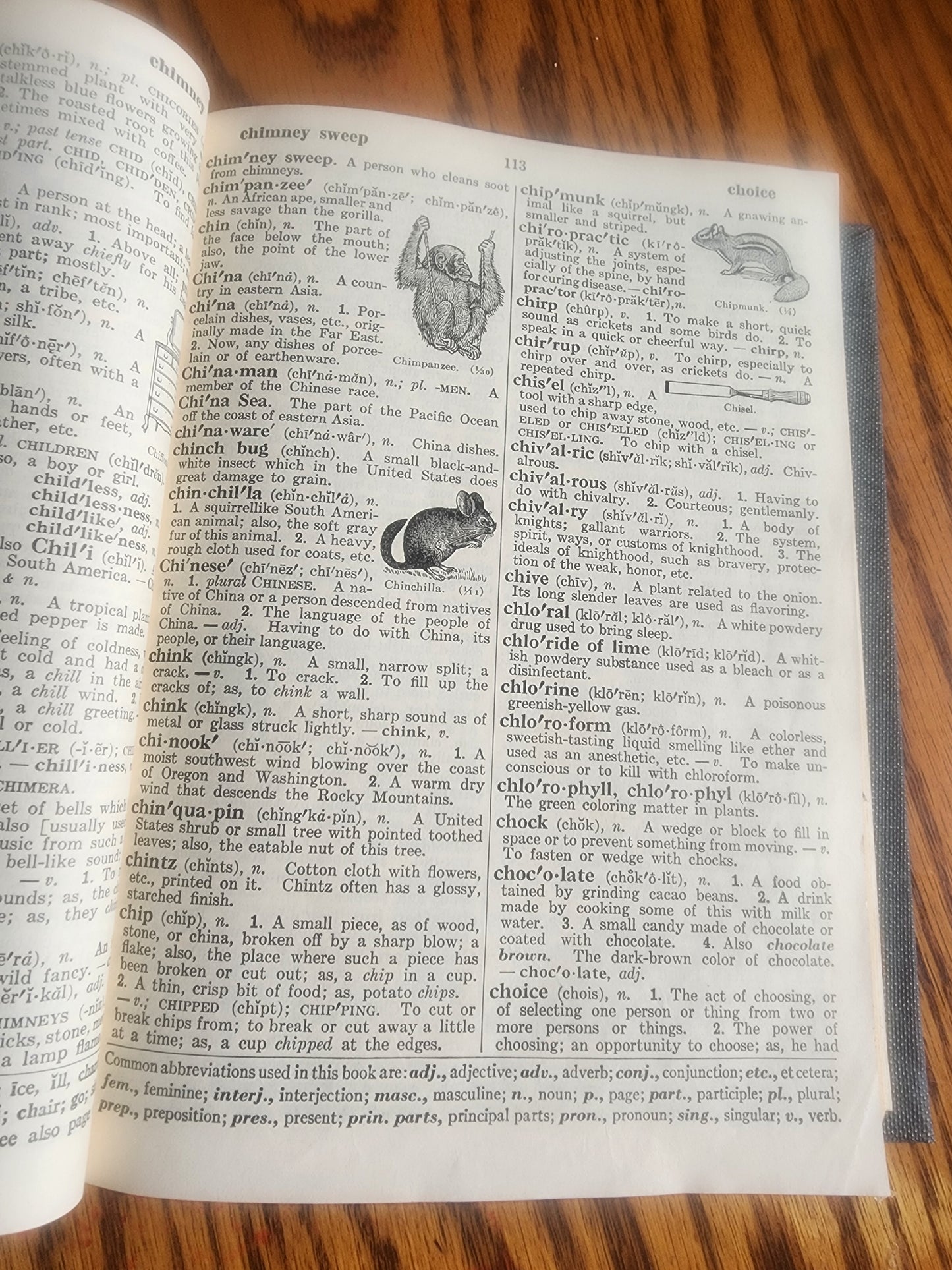 Vintage 1941 Webster's Elementary Dictionary for Boys and Girls - Illustrated
