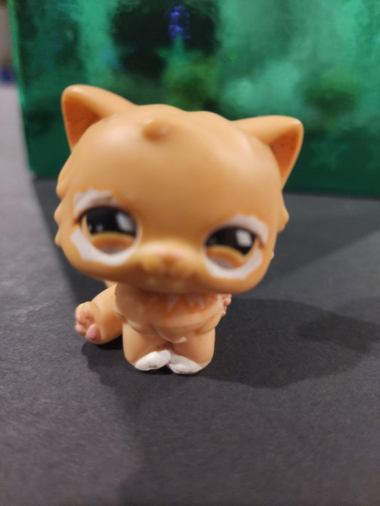 Littlest Pet Shop Authentic # 490 Peach White Persian Cat Orange Diamond Eyes