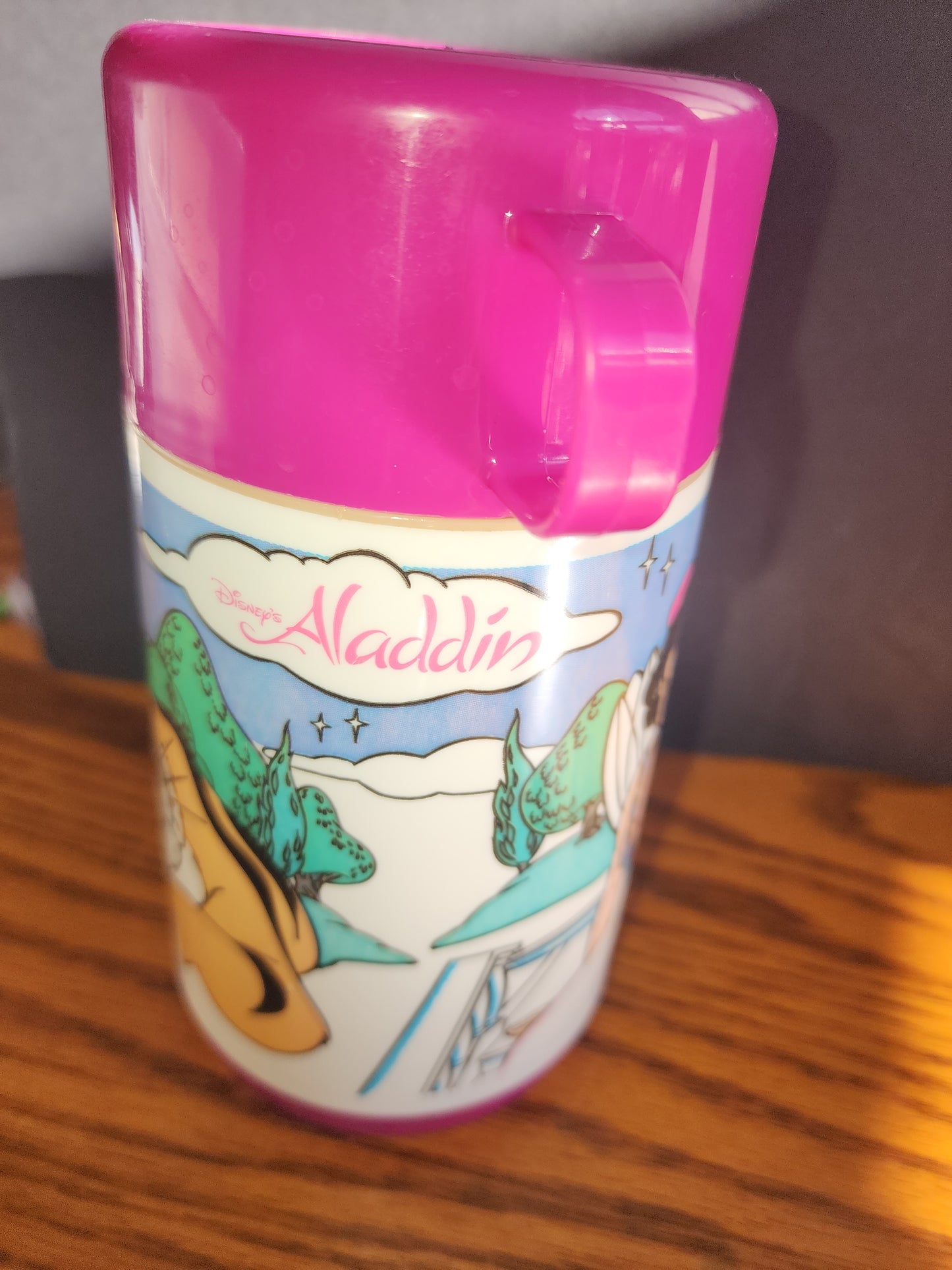 Vintage Pink Alladin and Jasmine Thermos by Alladdin 3 piece