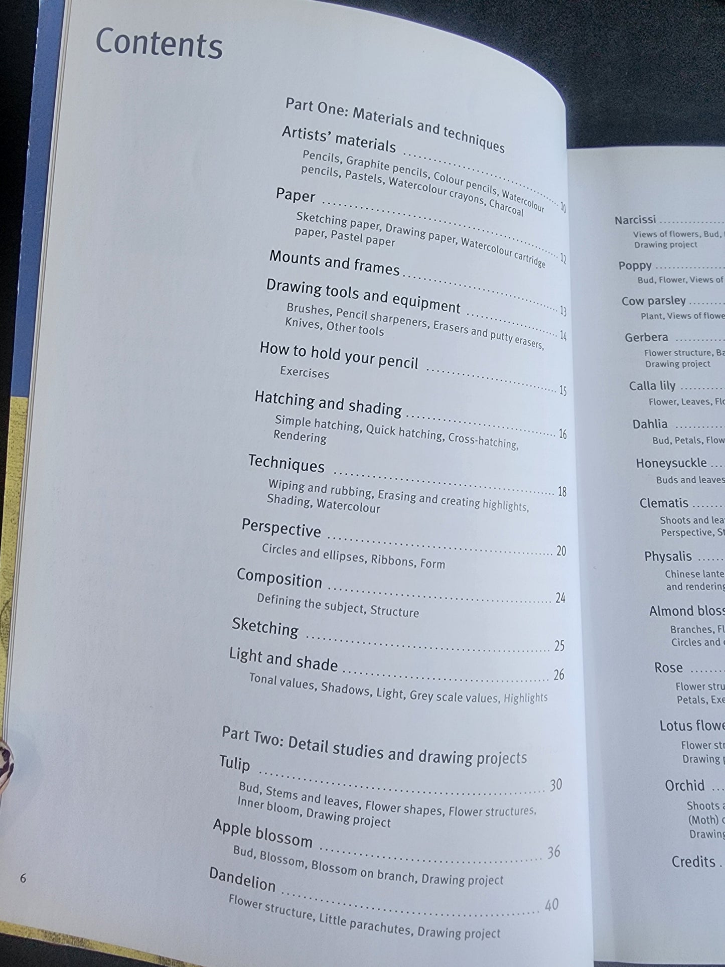 Draw Flowers using pencils, pastels, crayons and charcoal paperback Annie Pieper softcover book