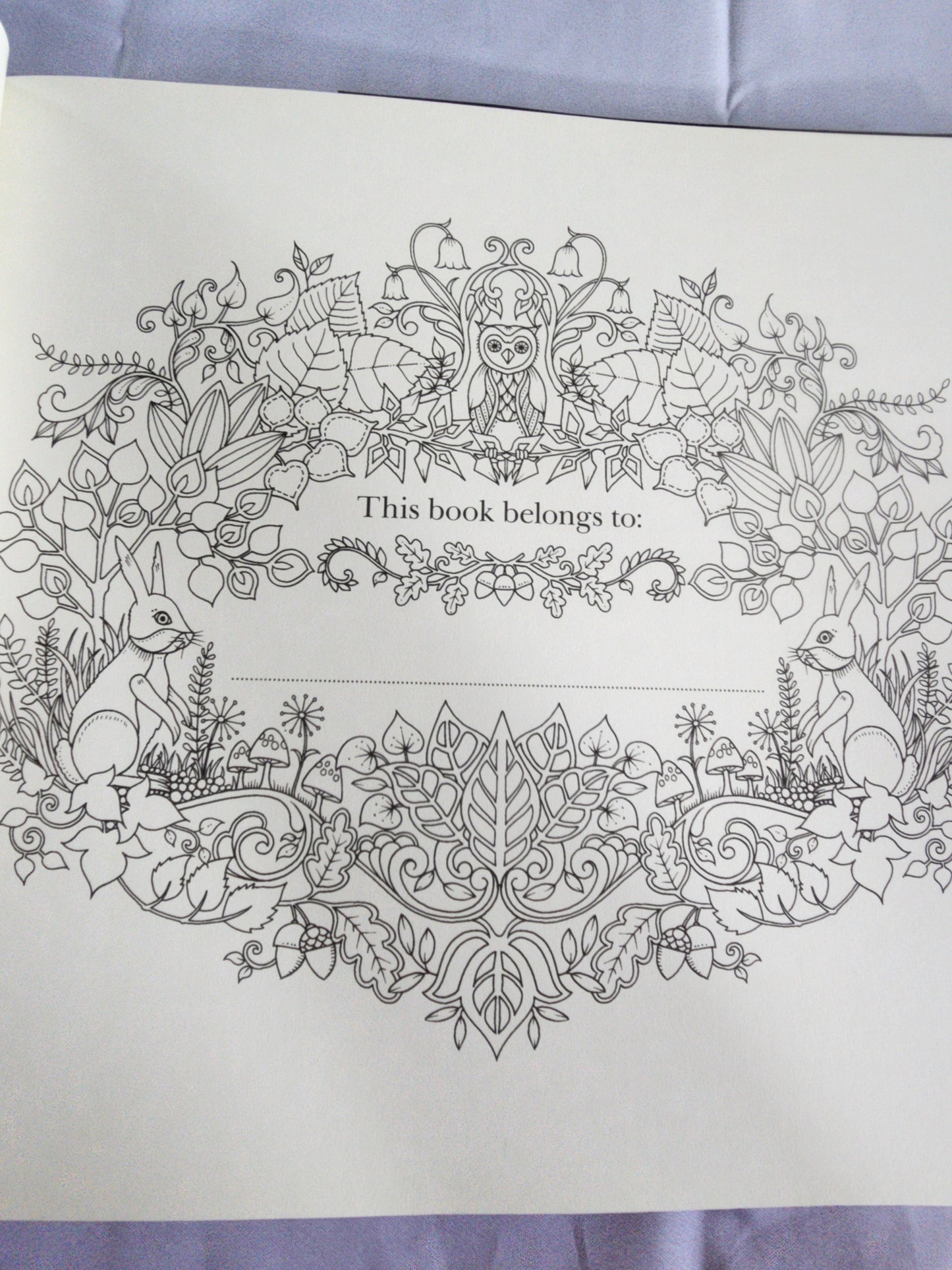 The Enchanted Forest an Inky Quest & Coloring
Book by Johanna Basford