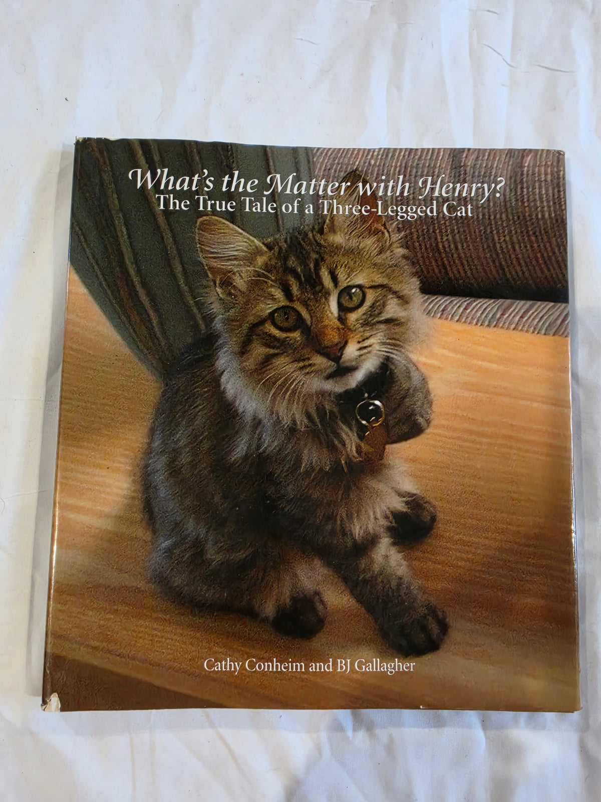 What's the Matter with Henry? The True Tale of a Three-Legged Cat HB Book,