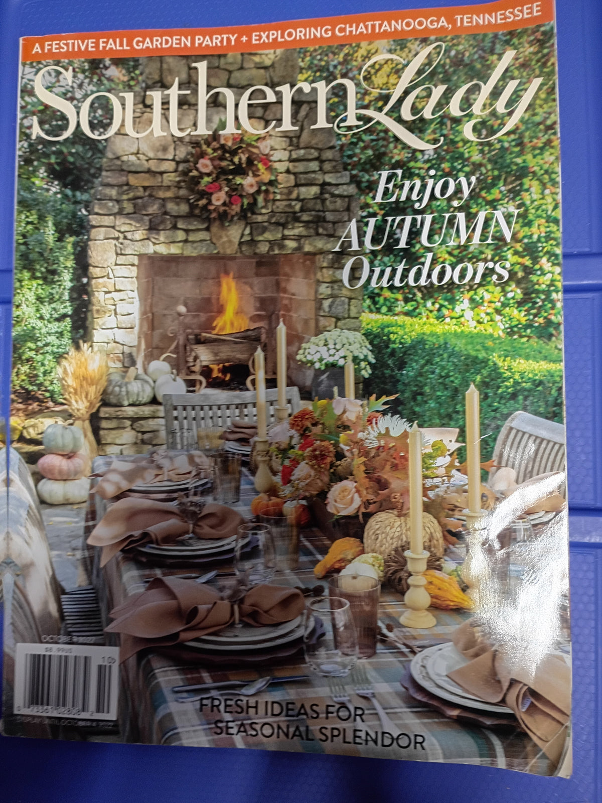 Southern Lady Magazine Enjoy Autumn Outdoors Fall Garden Party