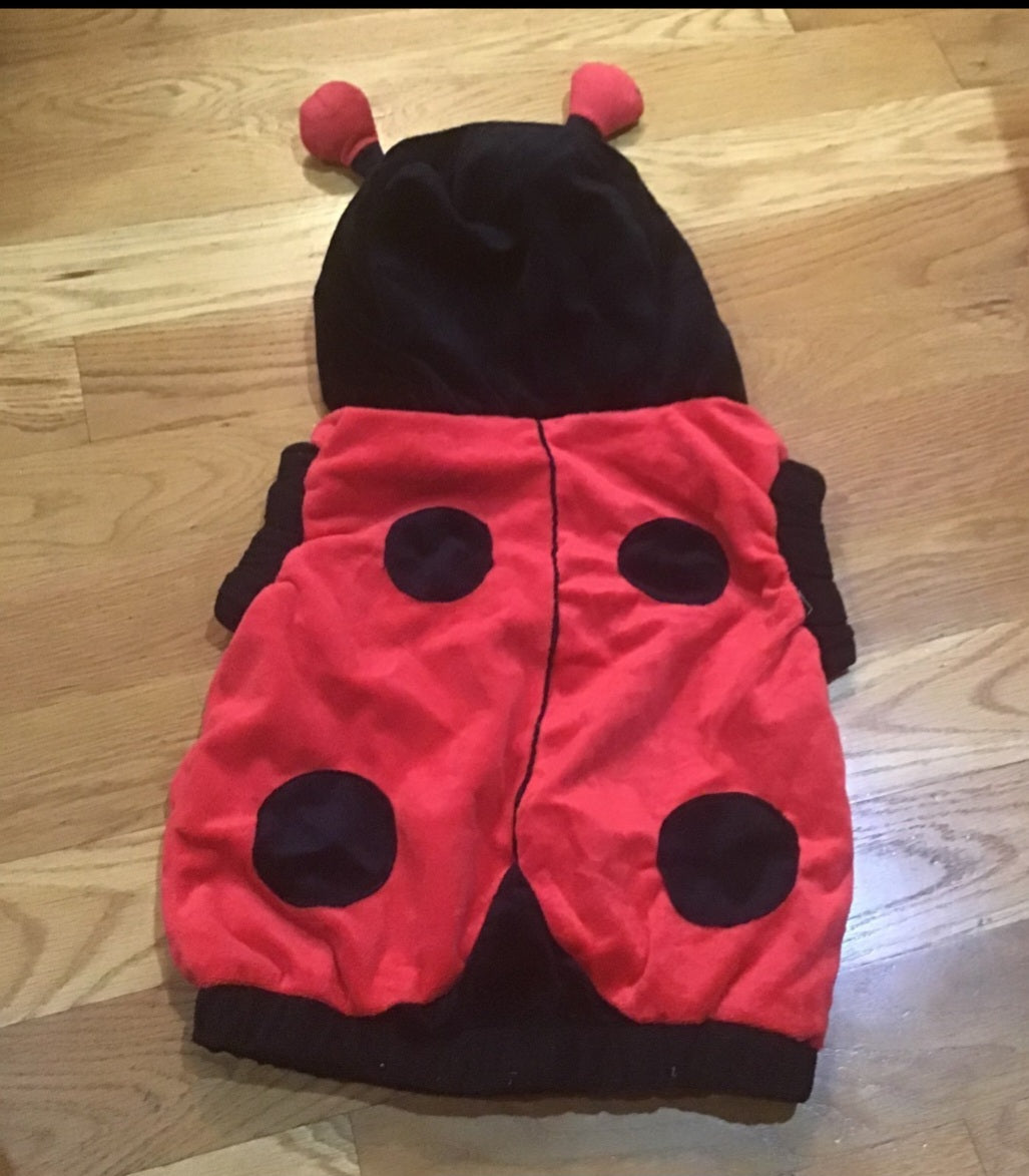 Plush Lady Bug Costume size 2-4 for your ladybug