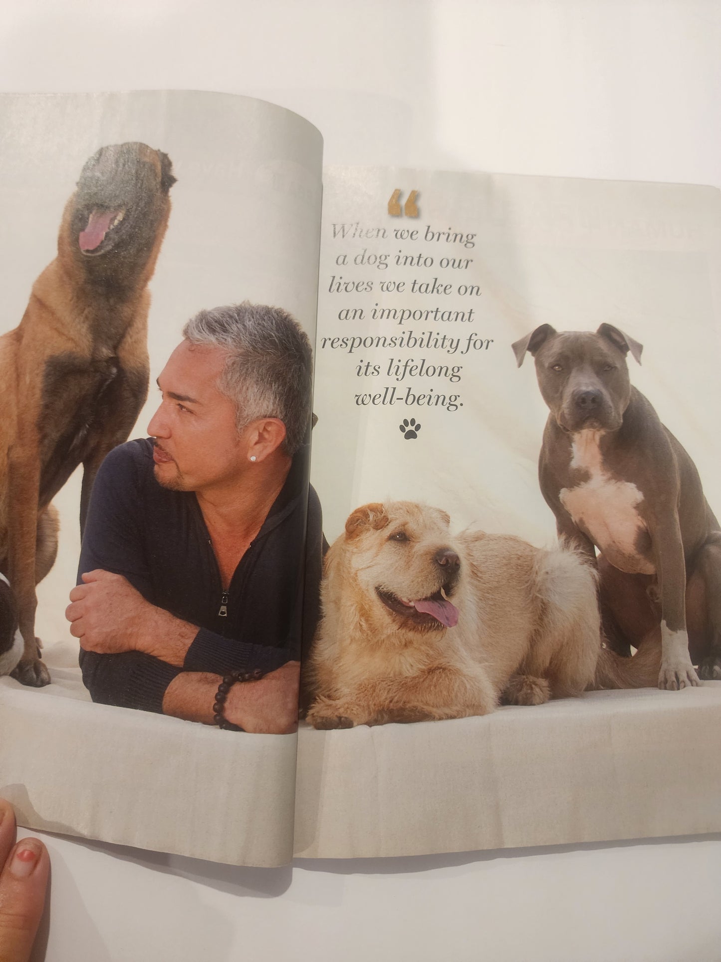 Cesar's Way  December 2014 (Special Double Issue) dog training