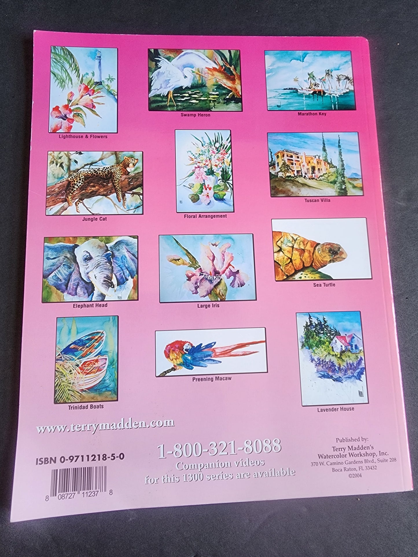 Terry Madden s Wonderful World of Watercolor - 1200 Series - Volume 2, pb book