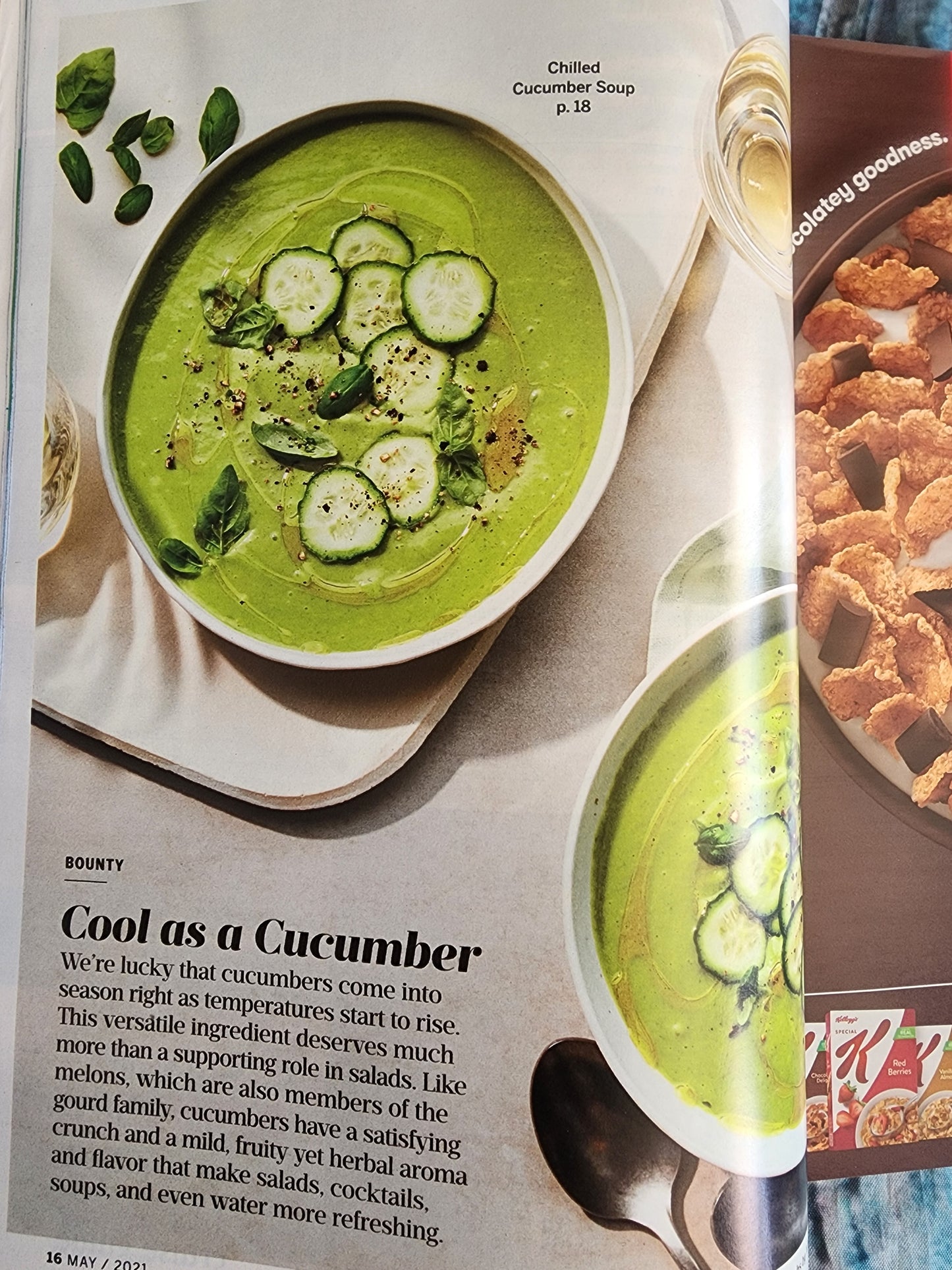 SOUTHERN LIVING MAGAZINE - MAY 2021 - CURB APPEAL! Blueberry deserts, Southern Salads and Derby delights.  Book in good condition