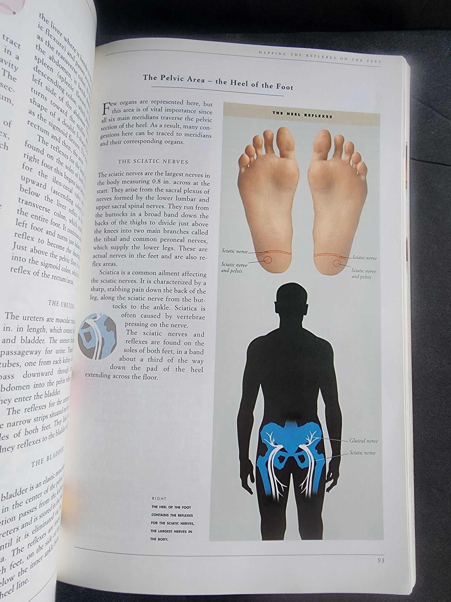 Complete Illustrated Guide to Reflexology  Foot Massage for Health Book