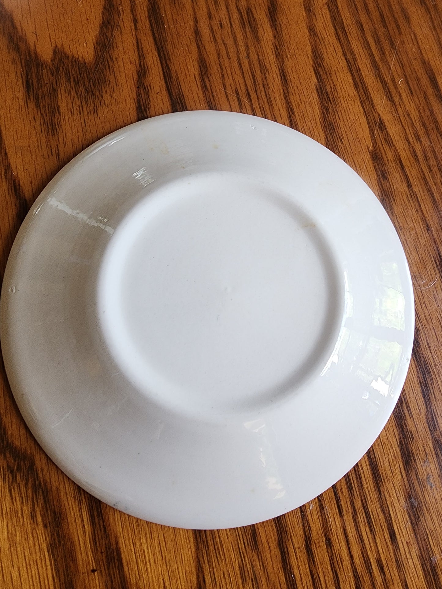 Vintage Currier & Ives Blue and White Saucer 6"