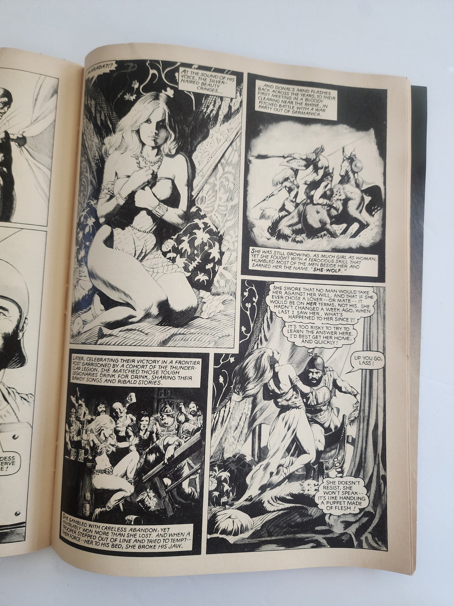 Marvel Epic Illustrated 1982 She-wolf
