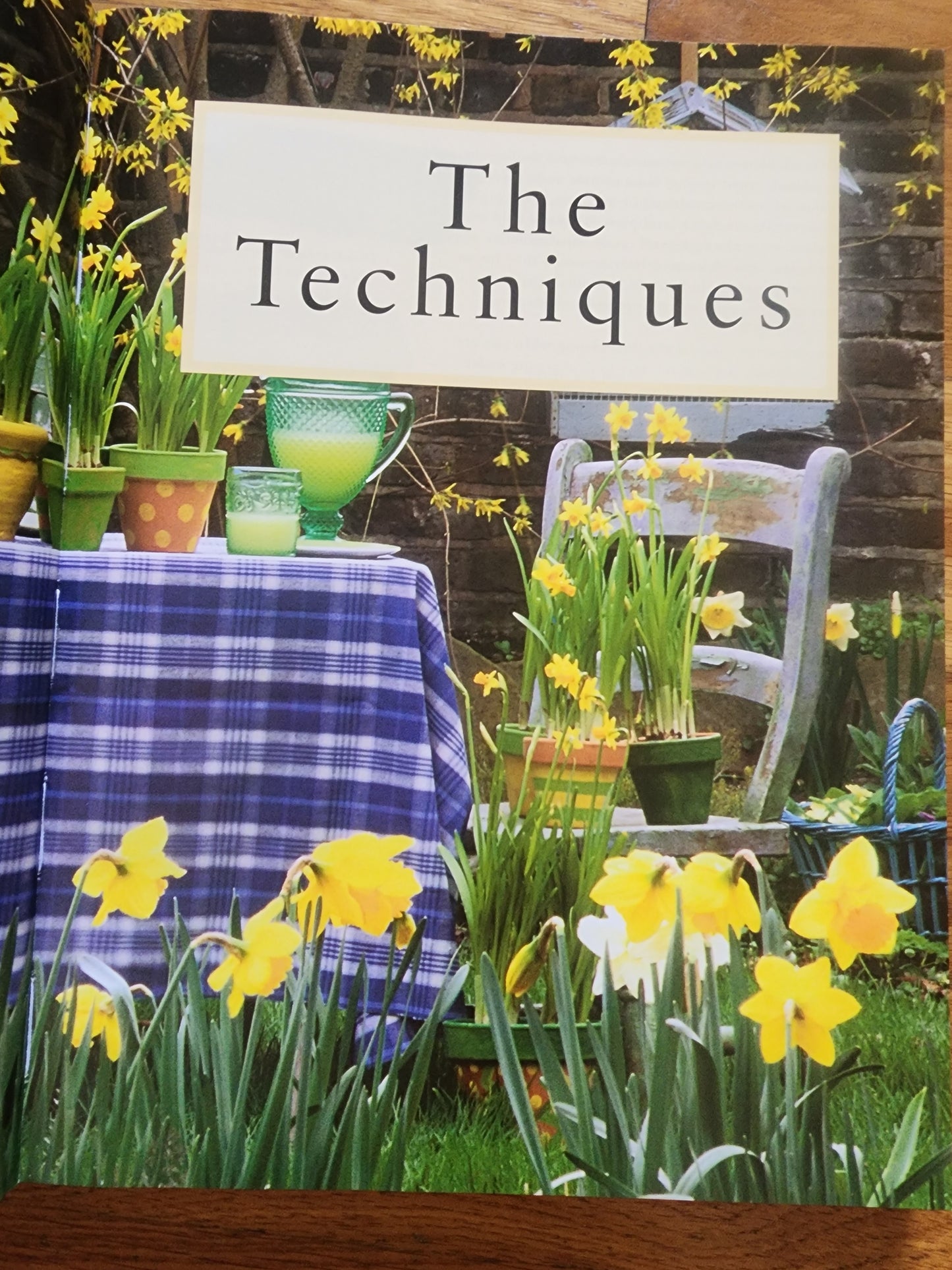 Container Gardening by Stephanie Donaldson 150 designs for pots, planters, boxes