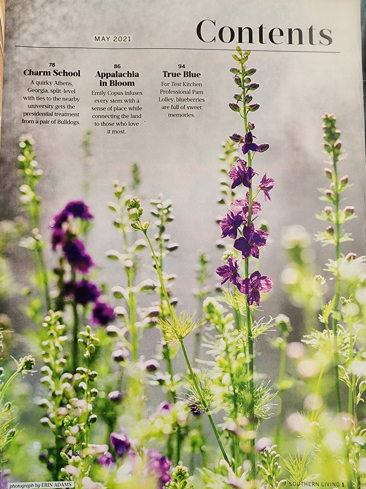 SOUTHERN LIVING MAGAZINE - MAY 2021 - CURB APPEAL! Blueberry deserts, Southern Salads and Derby delights.  Book in good condition