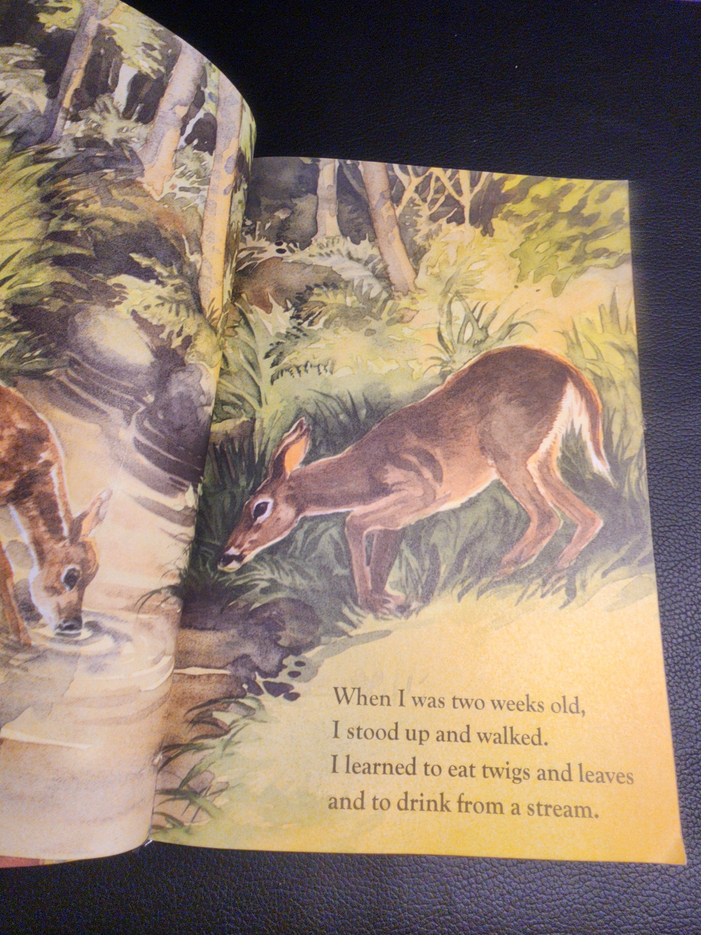 Once Upon a Springtime (Hello Reader, Level 2) paperback book