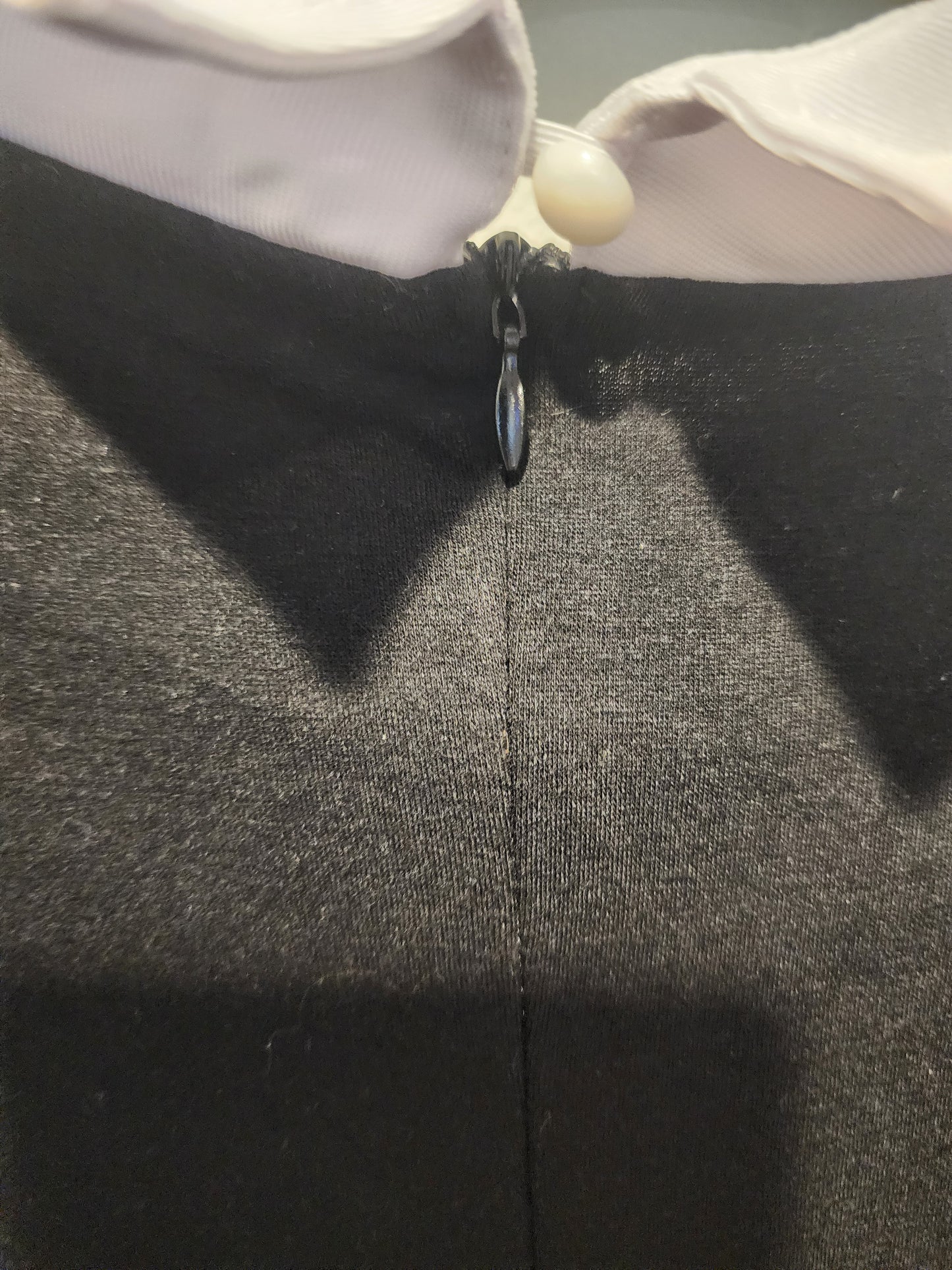 Women's Wednesday Adam's Dress Large Long Sleeve Peter Pan Collar Cute Fit and Flare Aline Dress.