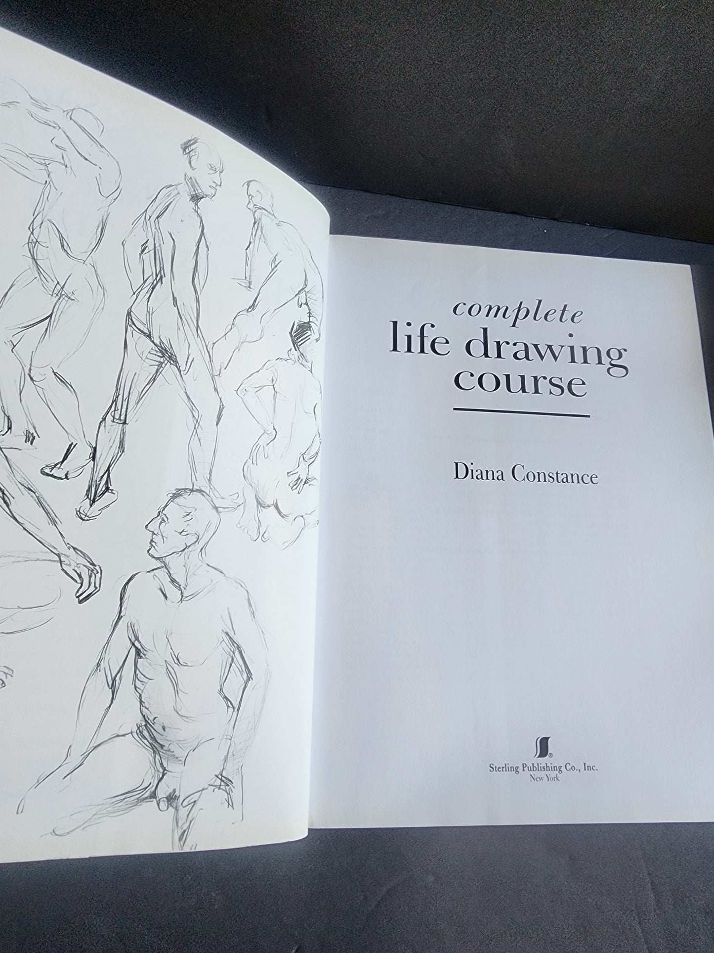 Complete Life Drawing Course by Diana Constance - Learn Figure Drawing & Anatomy