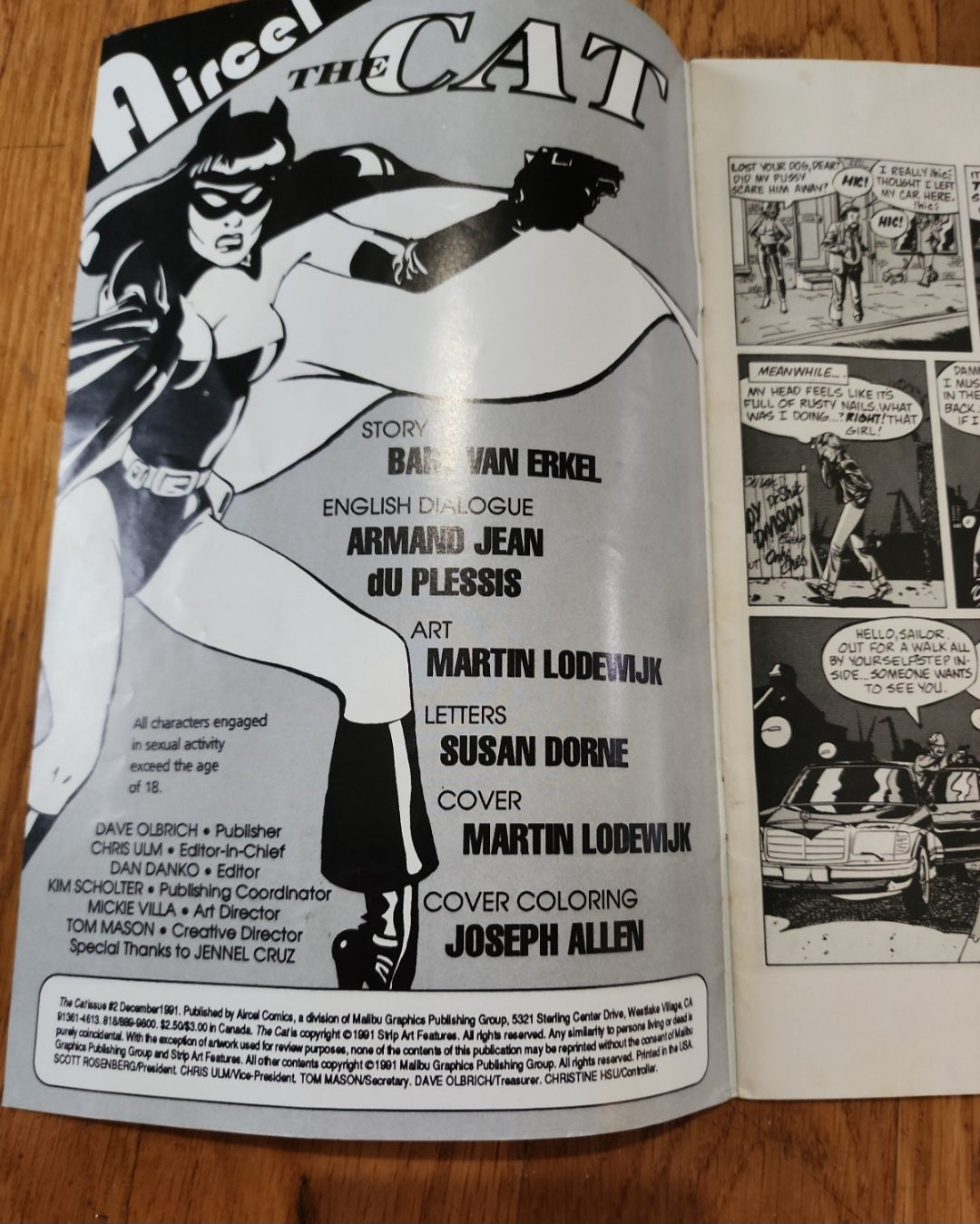 <span;>Vintage The Cat #2 Comic Book Aircel Malibu Comics Dec 1991