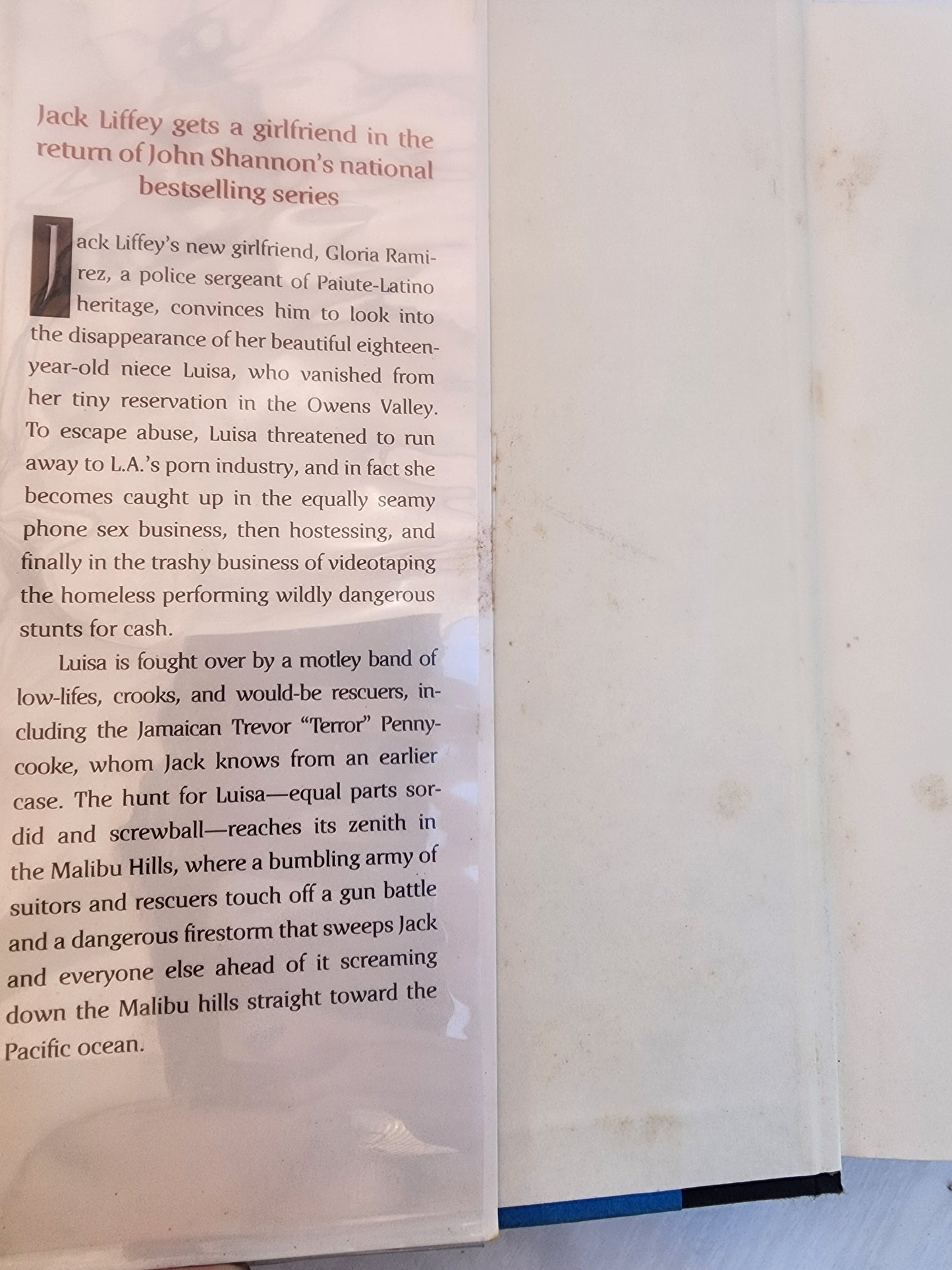 Dangerous Games: A Jack Liffey Mystery, Shannon, John, Hardcover Book