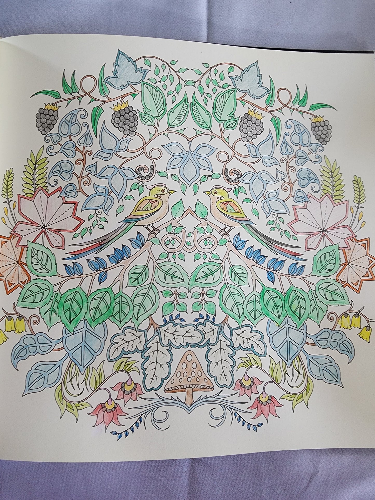 The Enchanted Forest an Inky Quest & Coloring
Book by Johanna Basford