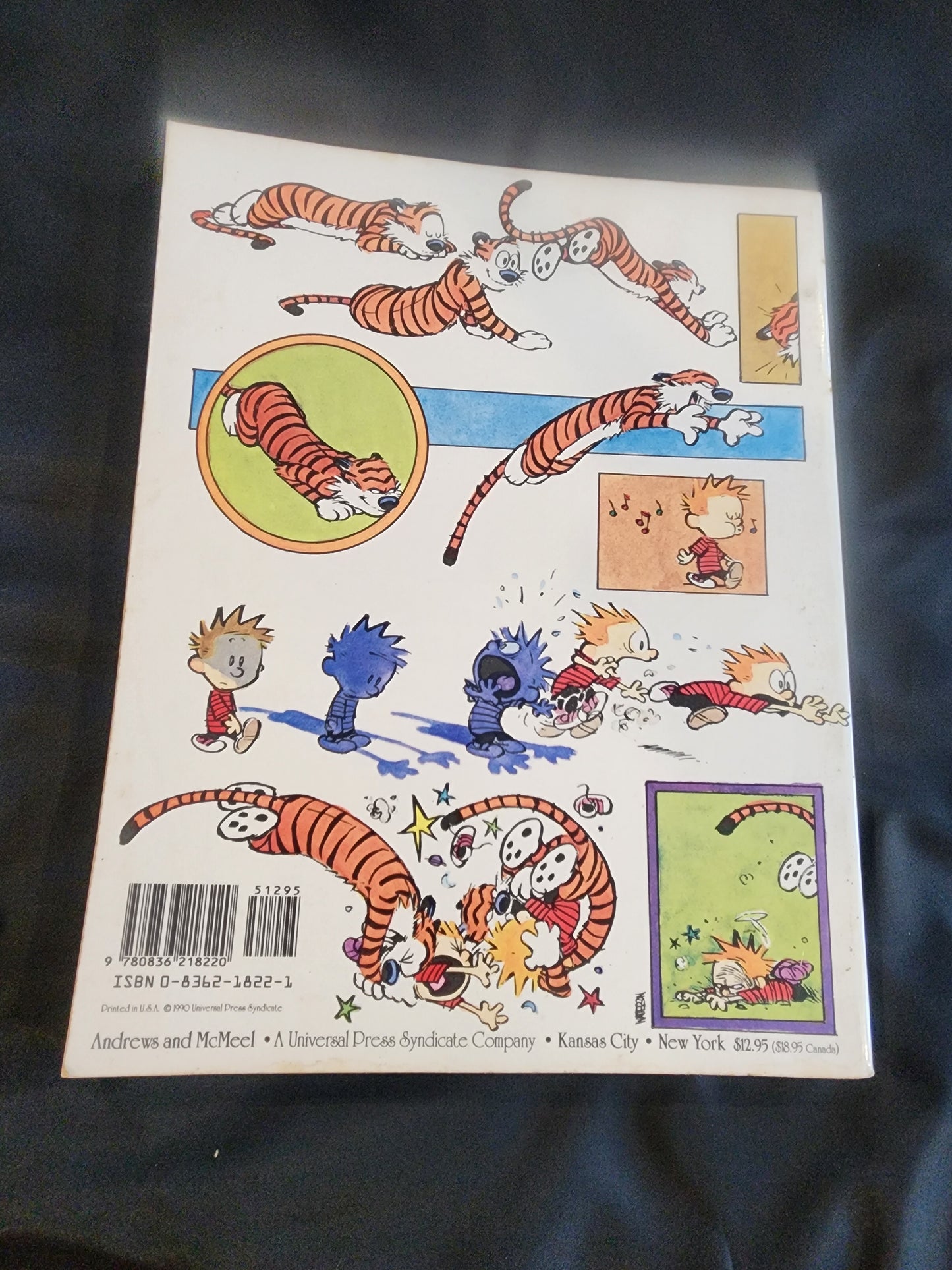 The Authoritative Calvin and Hobbes (A Calvin And Hobbes Treasury) 1990