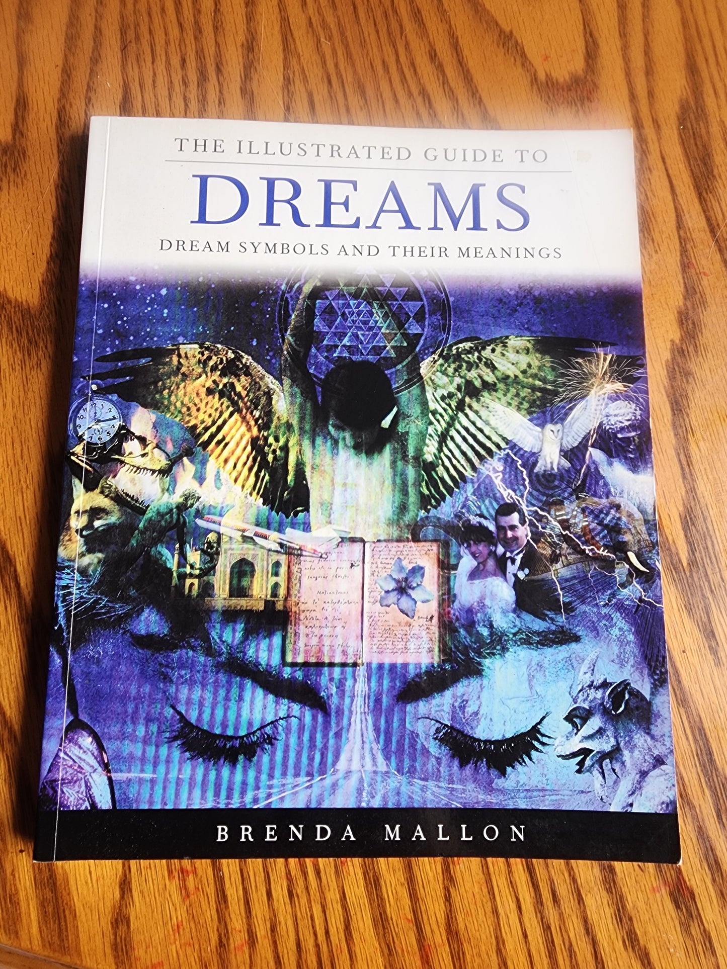 The Illustrated Guide to Dreams: Dream Symbols and Their Meanings softcover