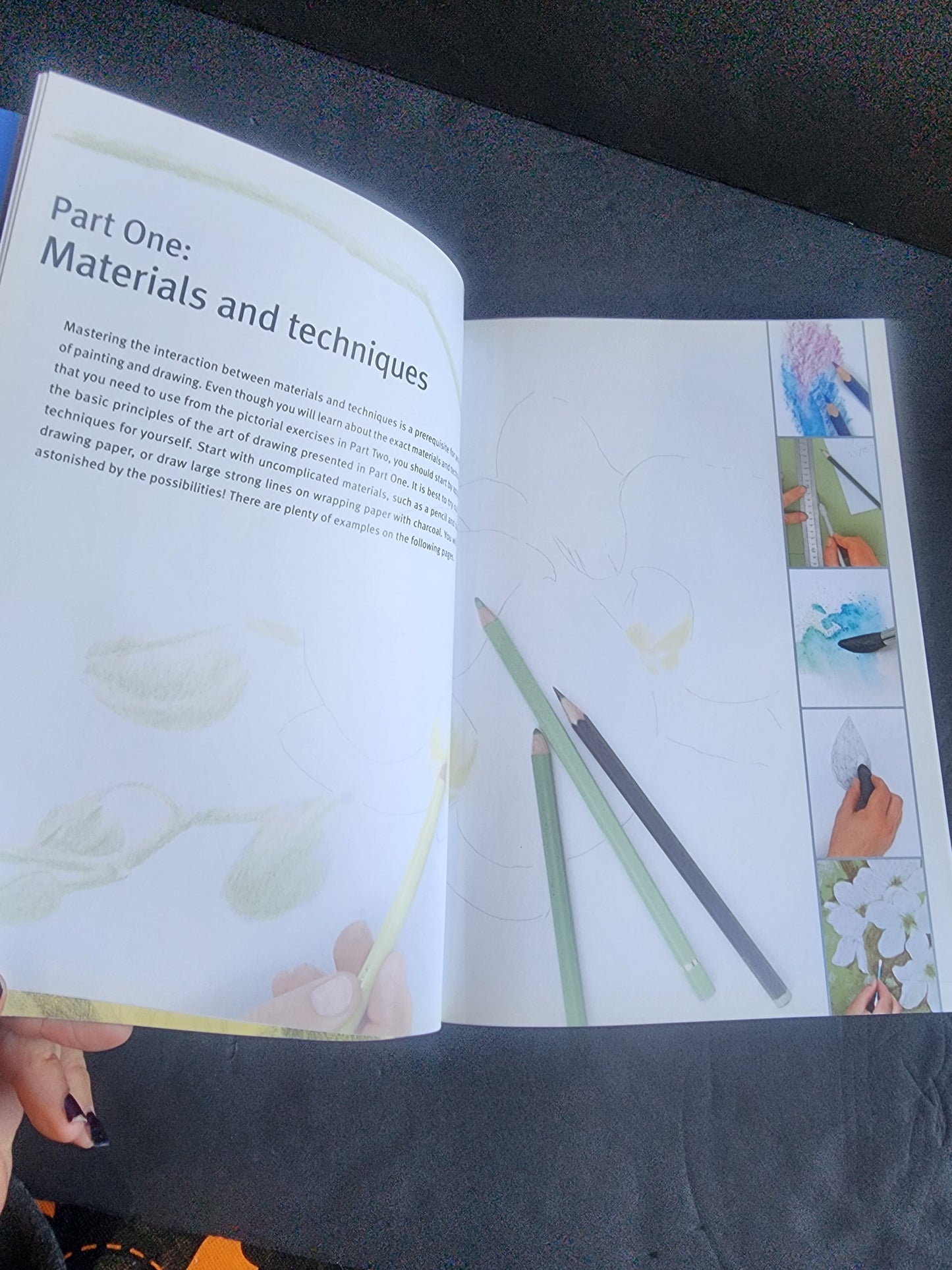 Draw Flowers using pencils, pastels, crayons and charcoal paperback Annie Pieper softcover book